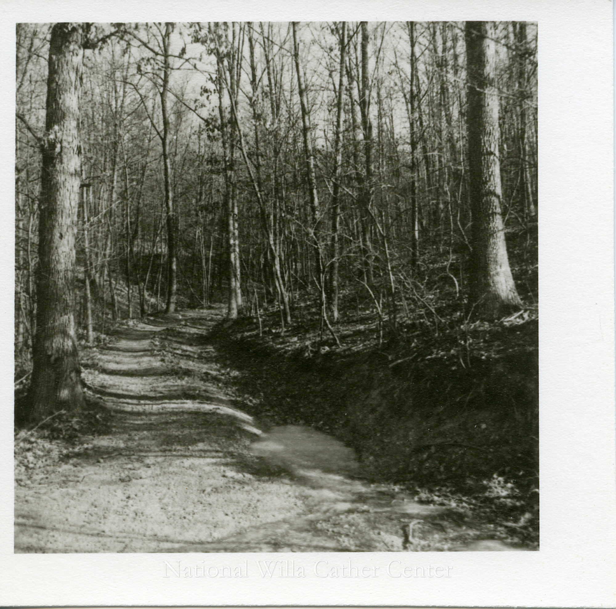 Image description is not available for PHO-4-W689-375a