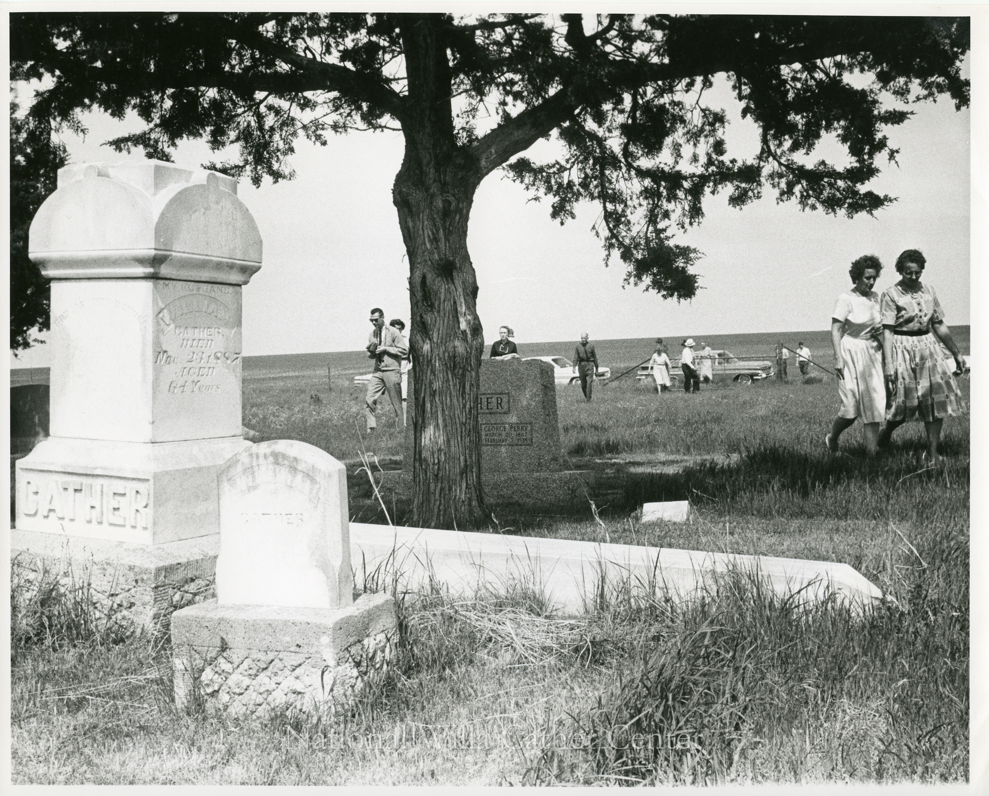 Image description is not available for PHO-4-W689-394