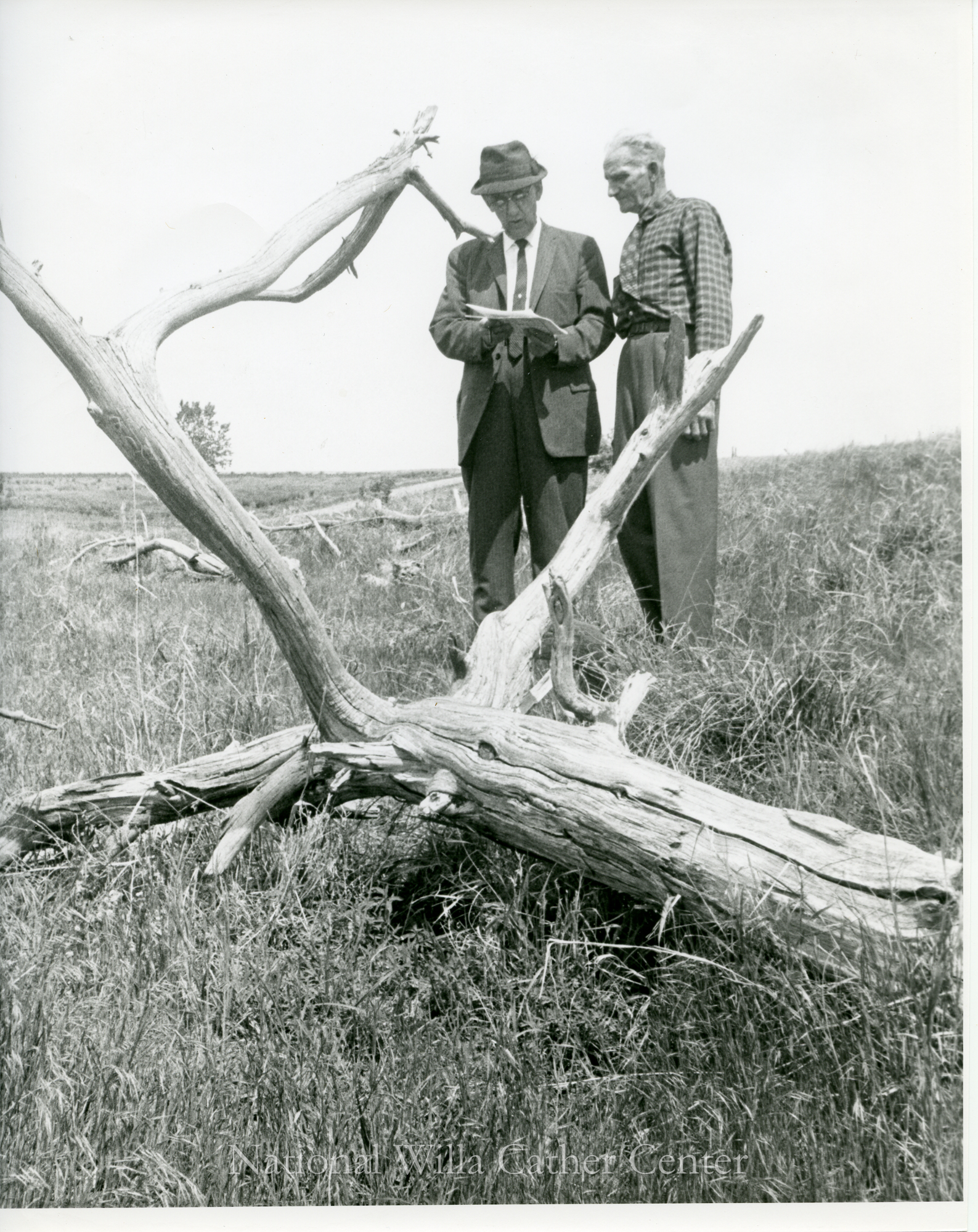 Image description is not available for PHO-4-W689-412