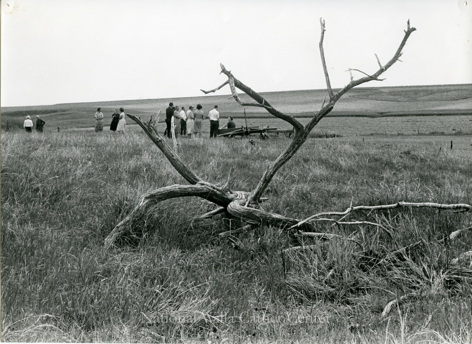 Image description is not available for PHO-4-W689-418