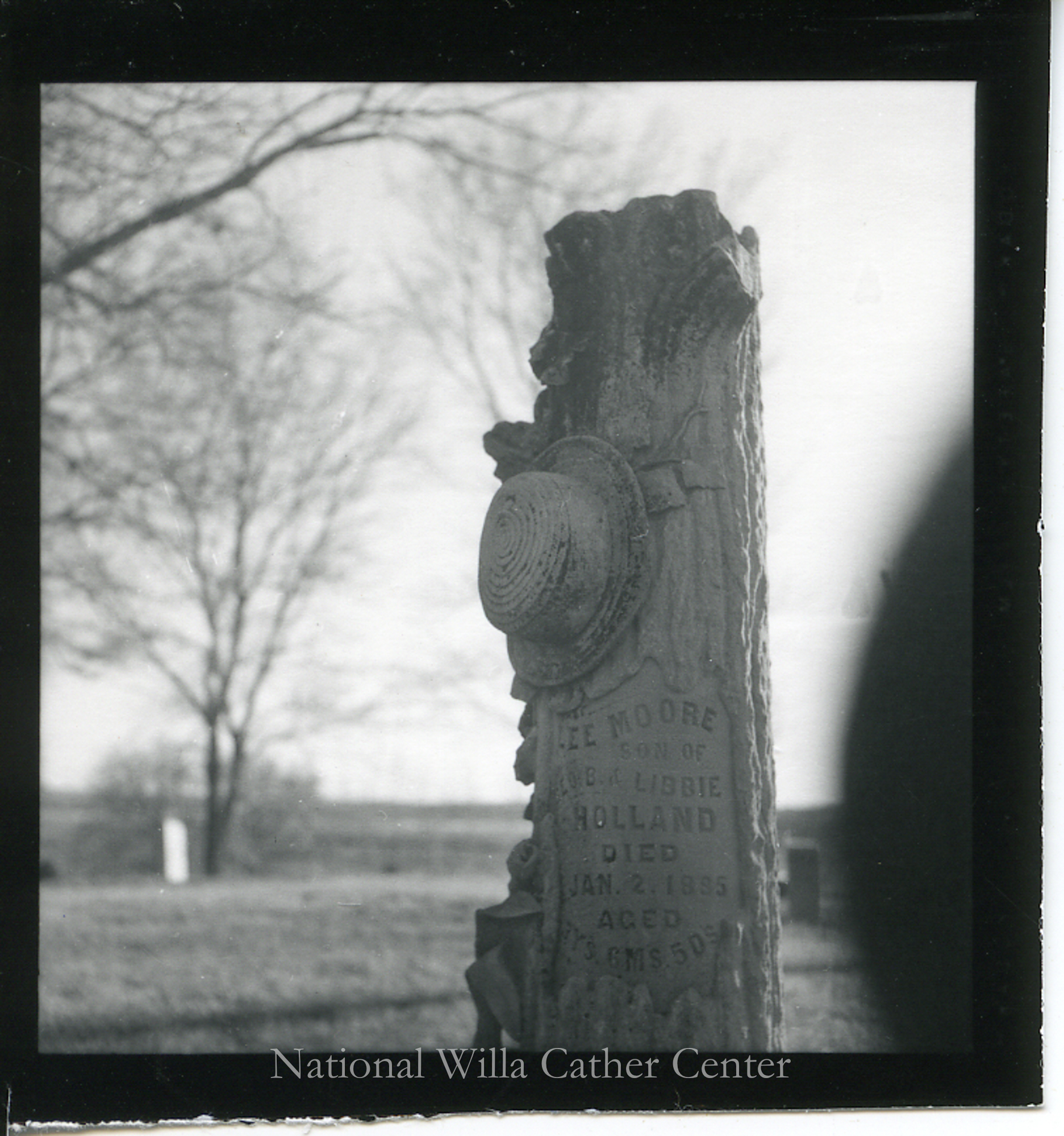 Image description is not available for PHO-4-W689-554