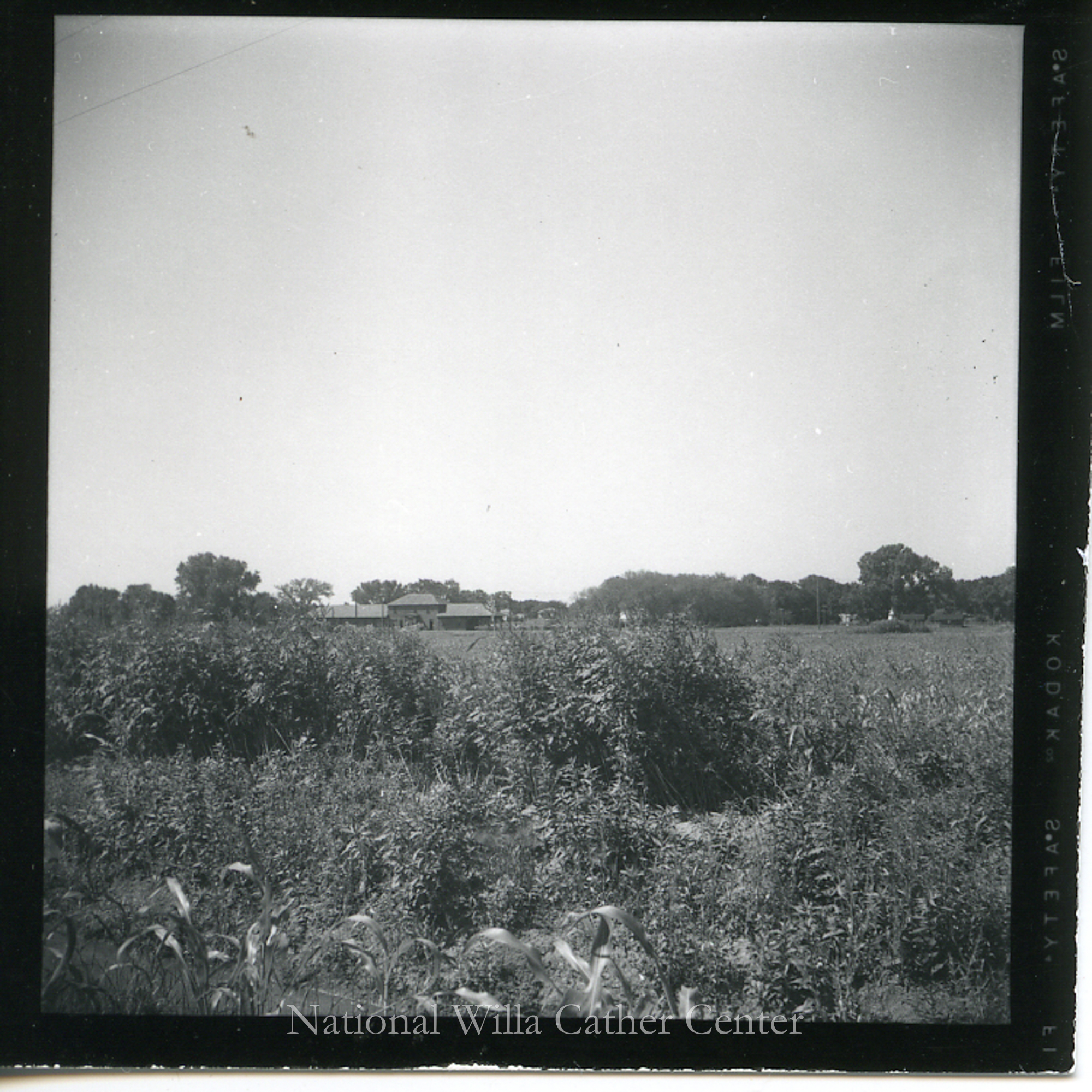 Image description is not available for PHO-4-W689-593a