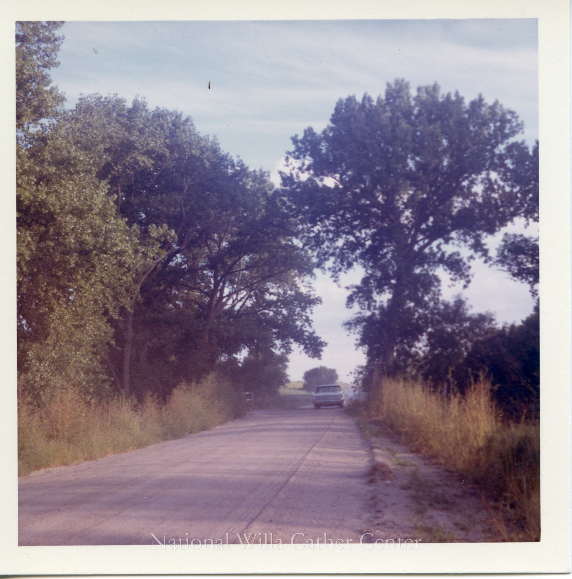 Image description is not available for PHO-4-W689-629