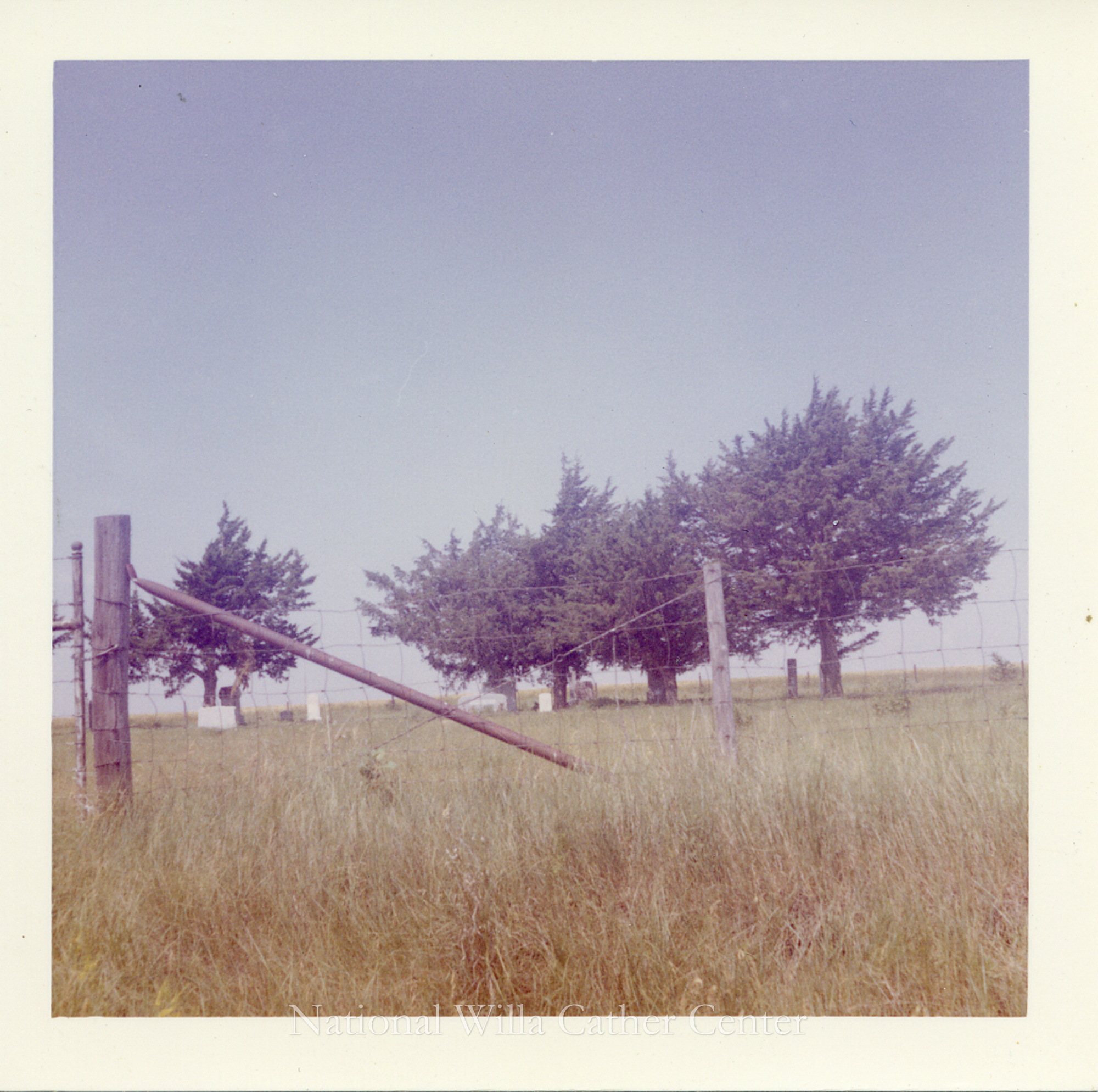 Image description is not available for PHO-4-W689-924