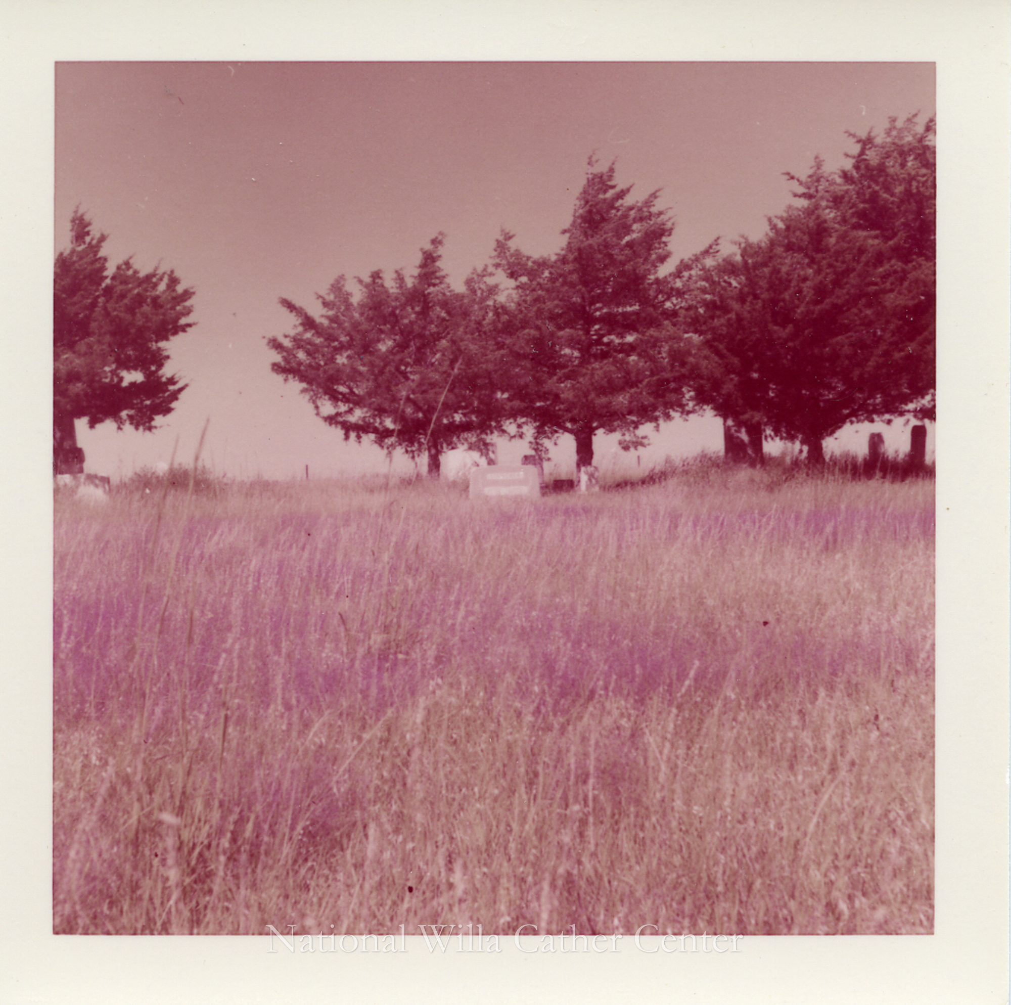 Image description is not available for PHO-4-W689-925