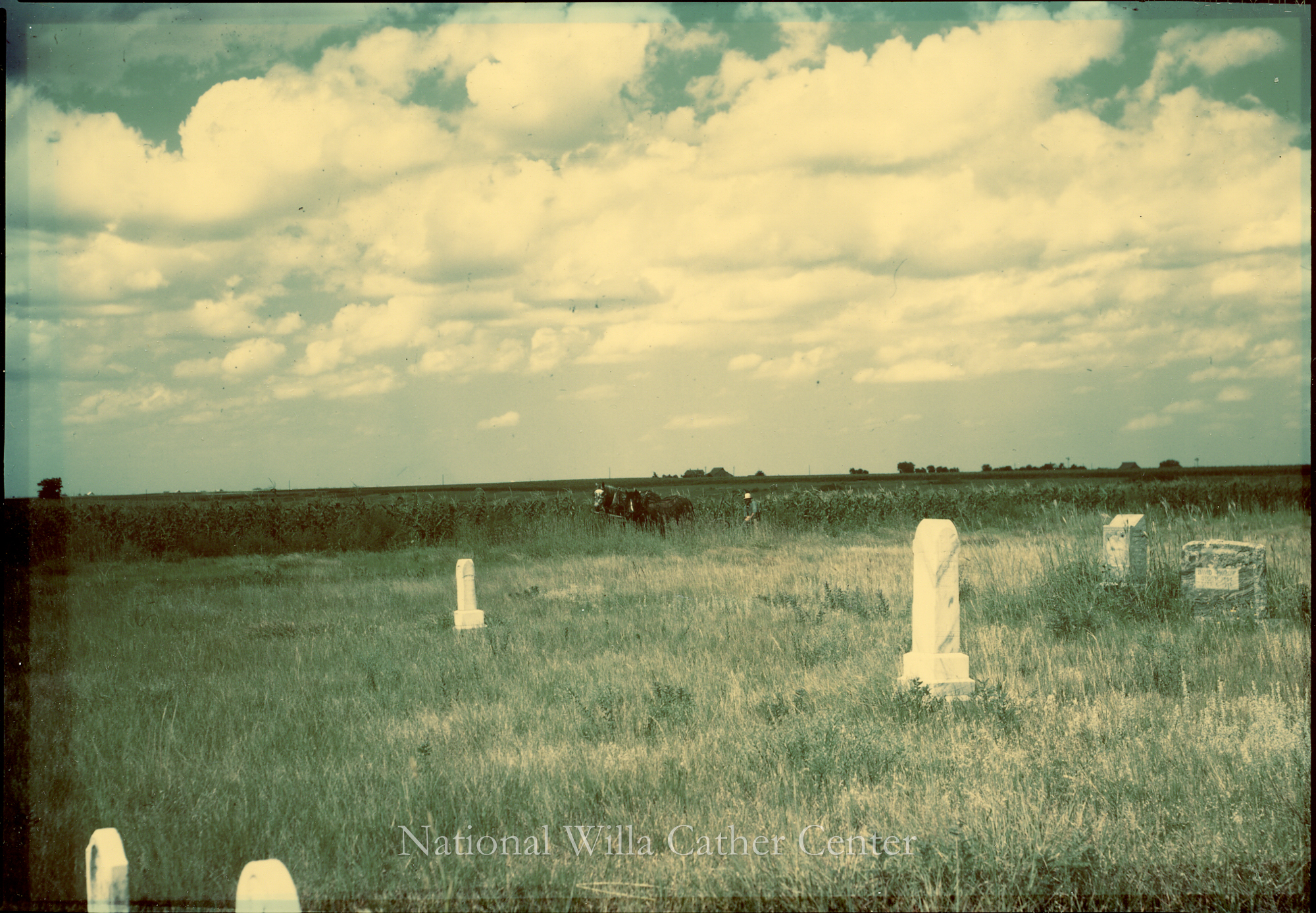 Image description is not available for PHO-4-W689-928