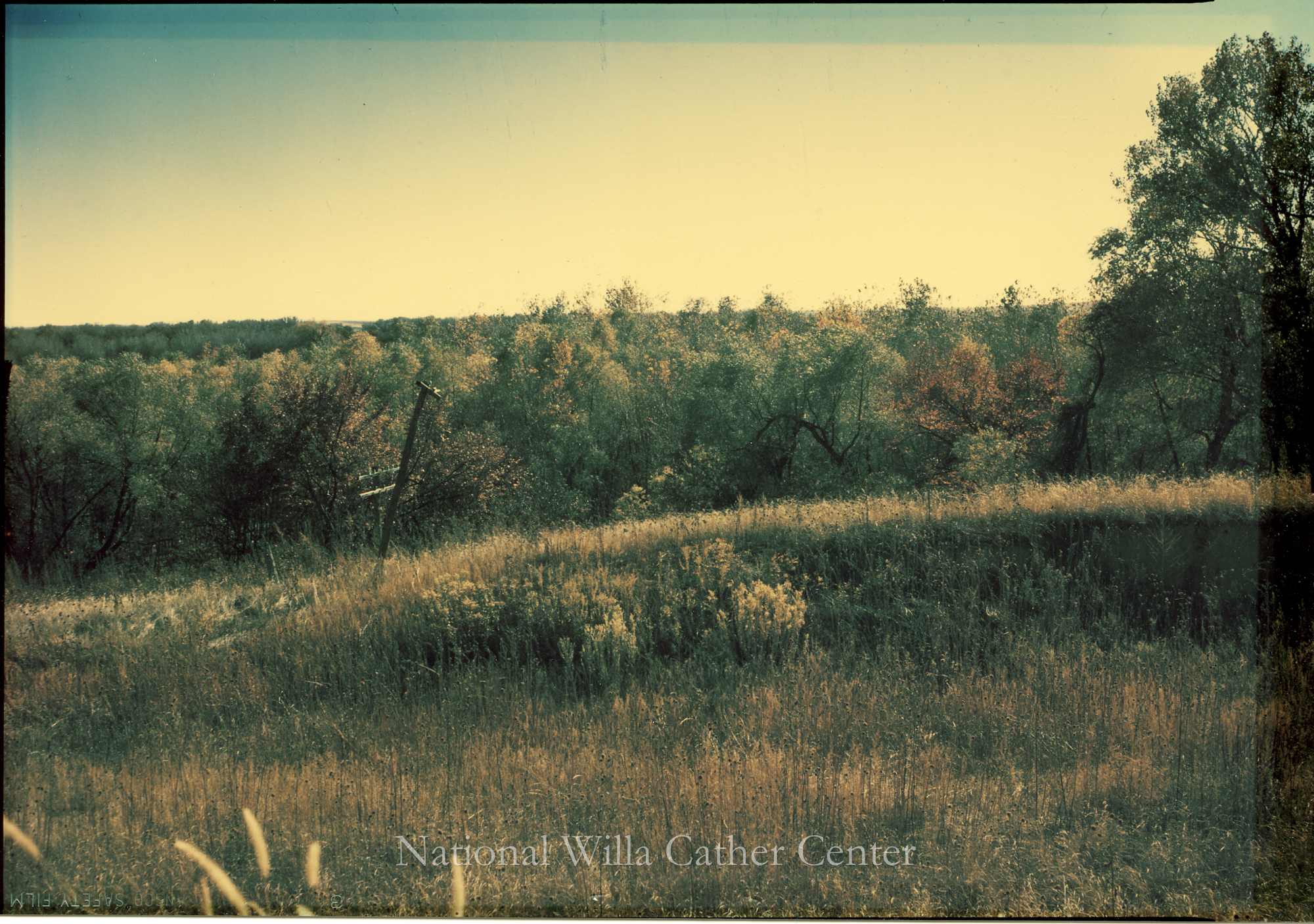 Image description is not available for PHO-4-W689-929