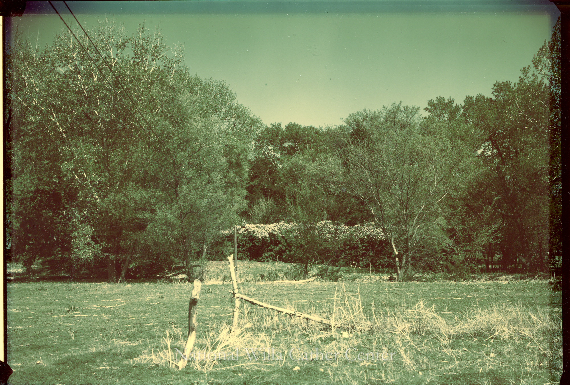 Image description is not available for PHO-4-W689-939