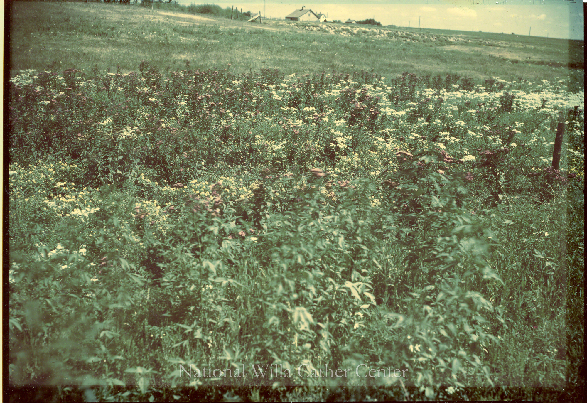 Image description is not available for PHO-4-W689-943