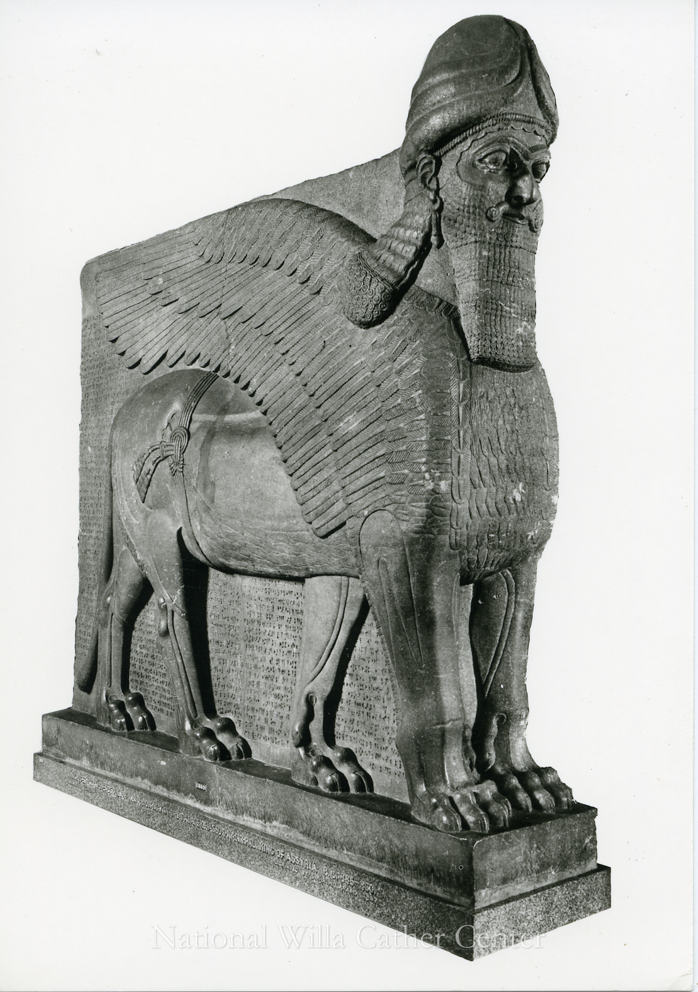 Image description is not available for PHO-4-W689-978