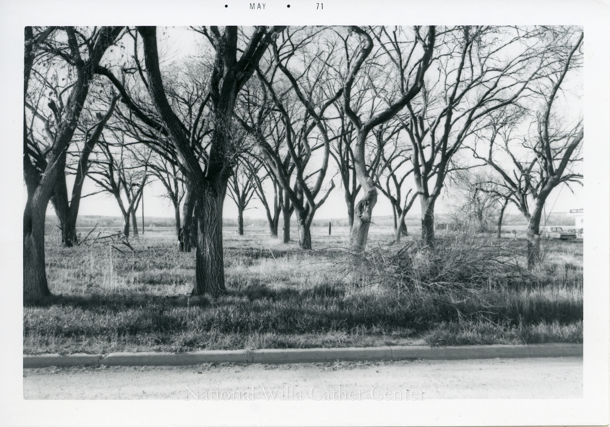 Image description is not available for PHO-4-W689-1053