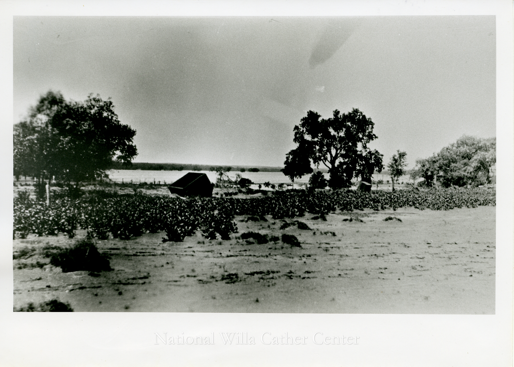 Image description is not available for PHO-4-W689-1065