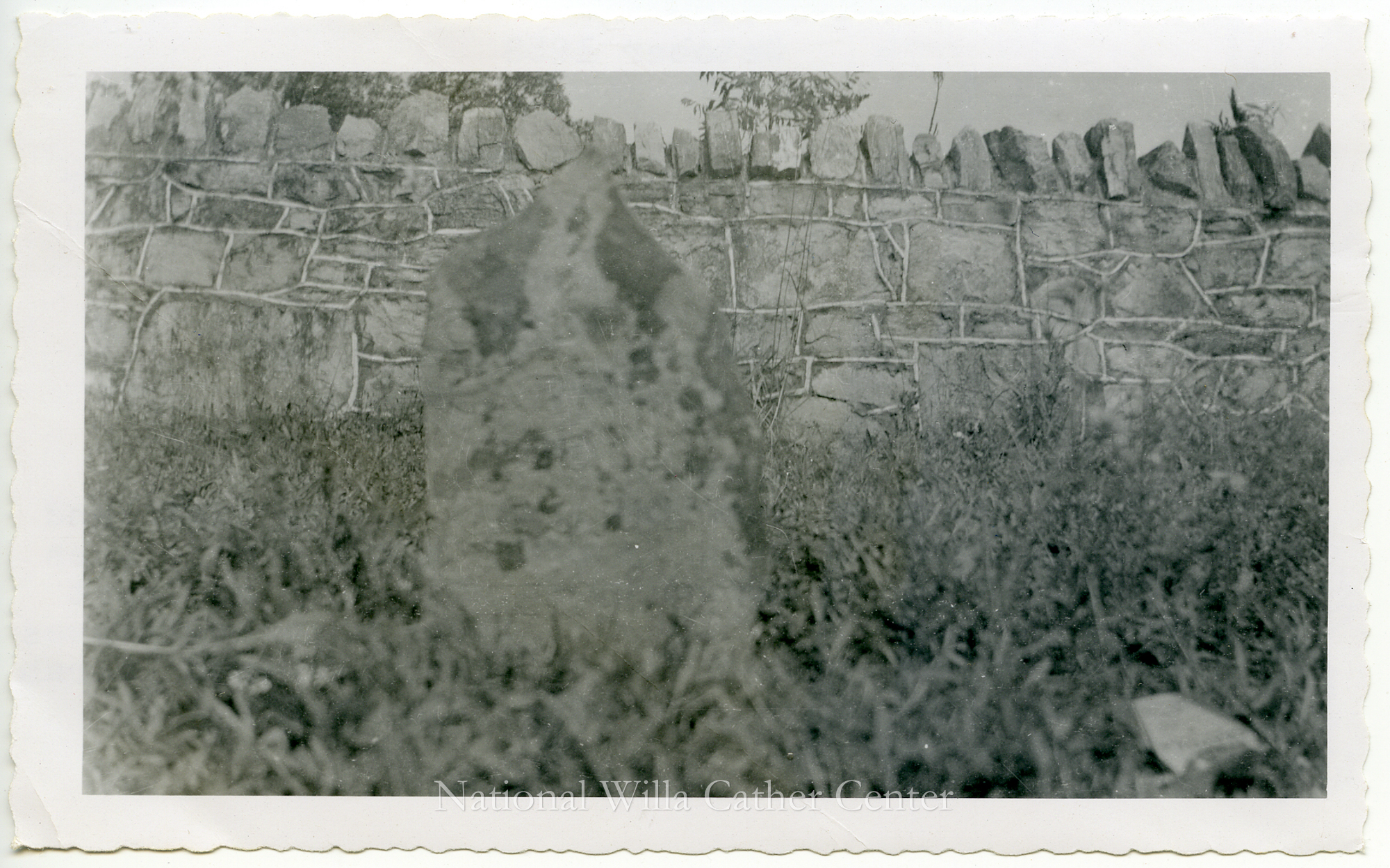 Image description is not available for PHO-4-W689-1176