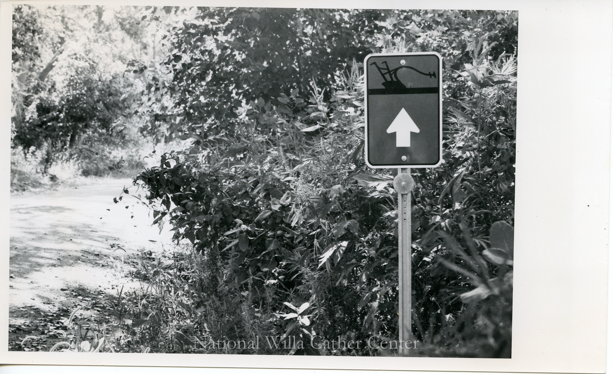 Image description is not available for PHO-4-W689-1238