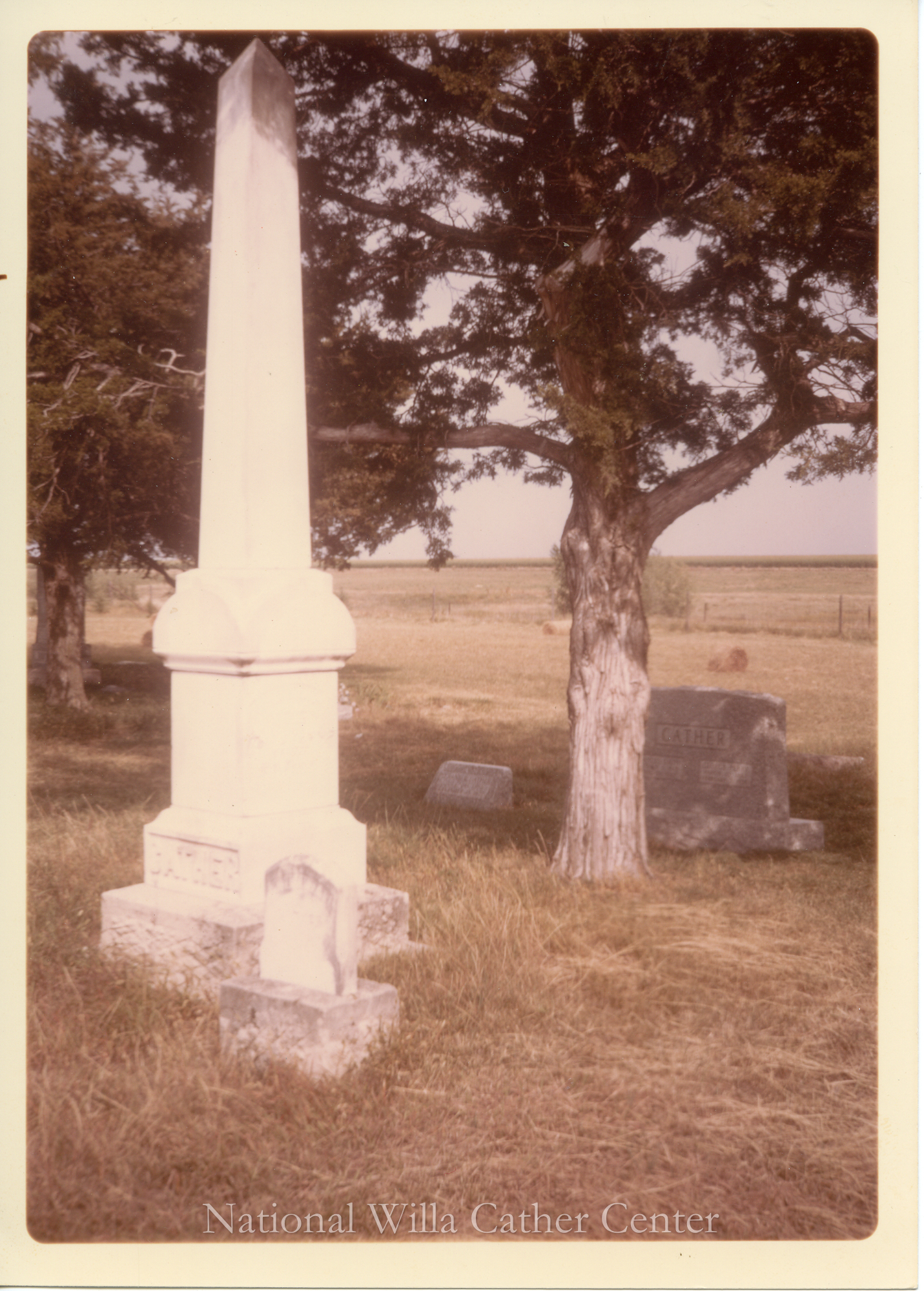 Image description is not available for PHO-4-W689-1271