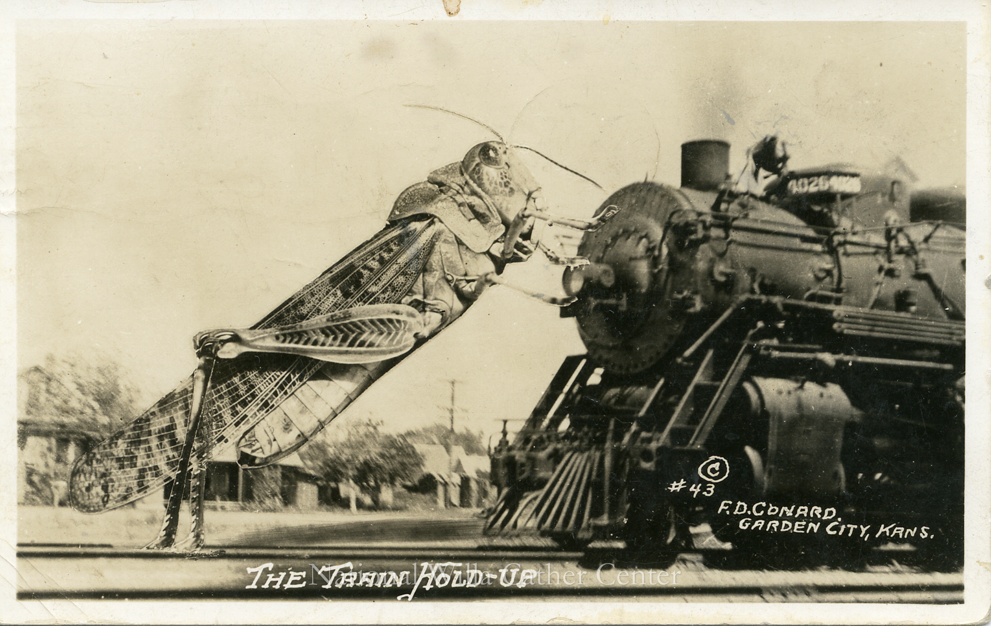 Image description is not available for PHO-4-W689-1300