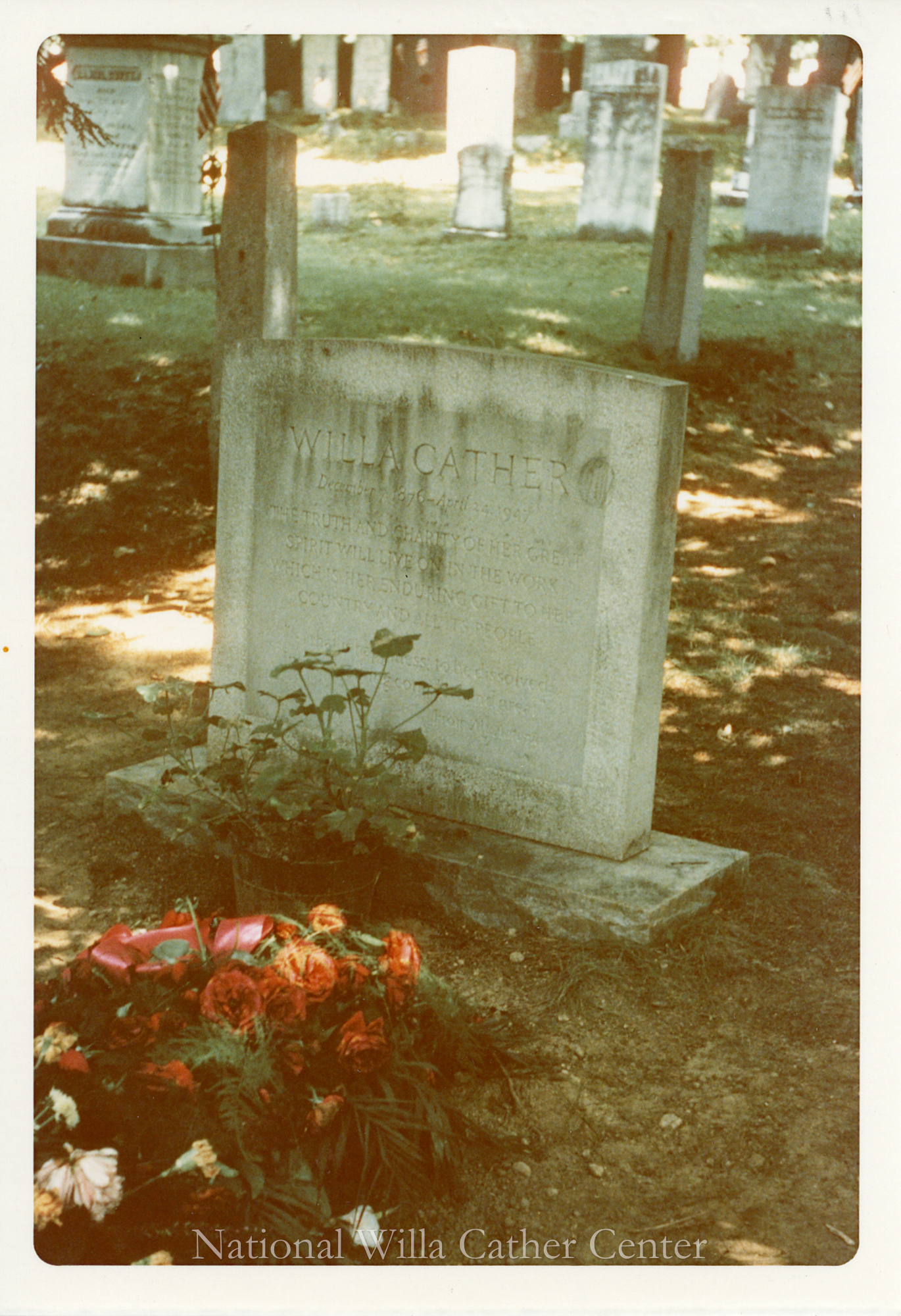 Image description is not available for PHO-4-W689-1384