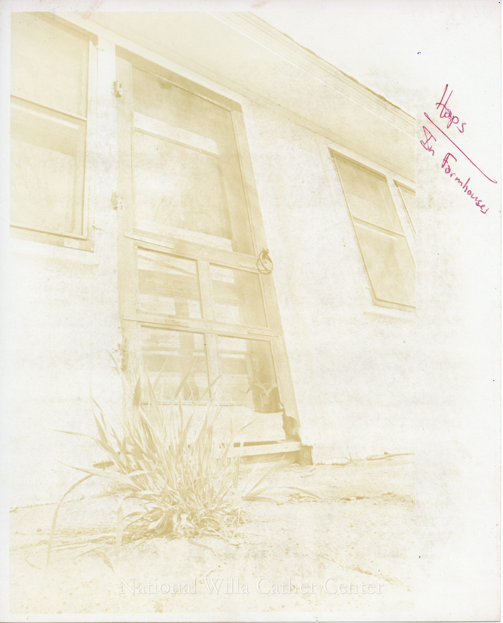 Image description is not available for PHO-4-W689-1395