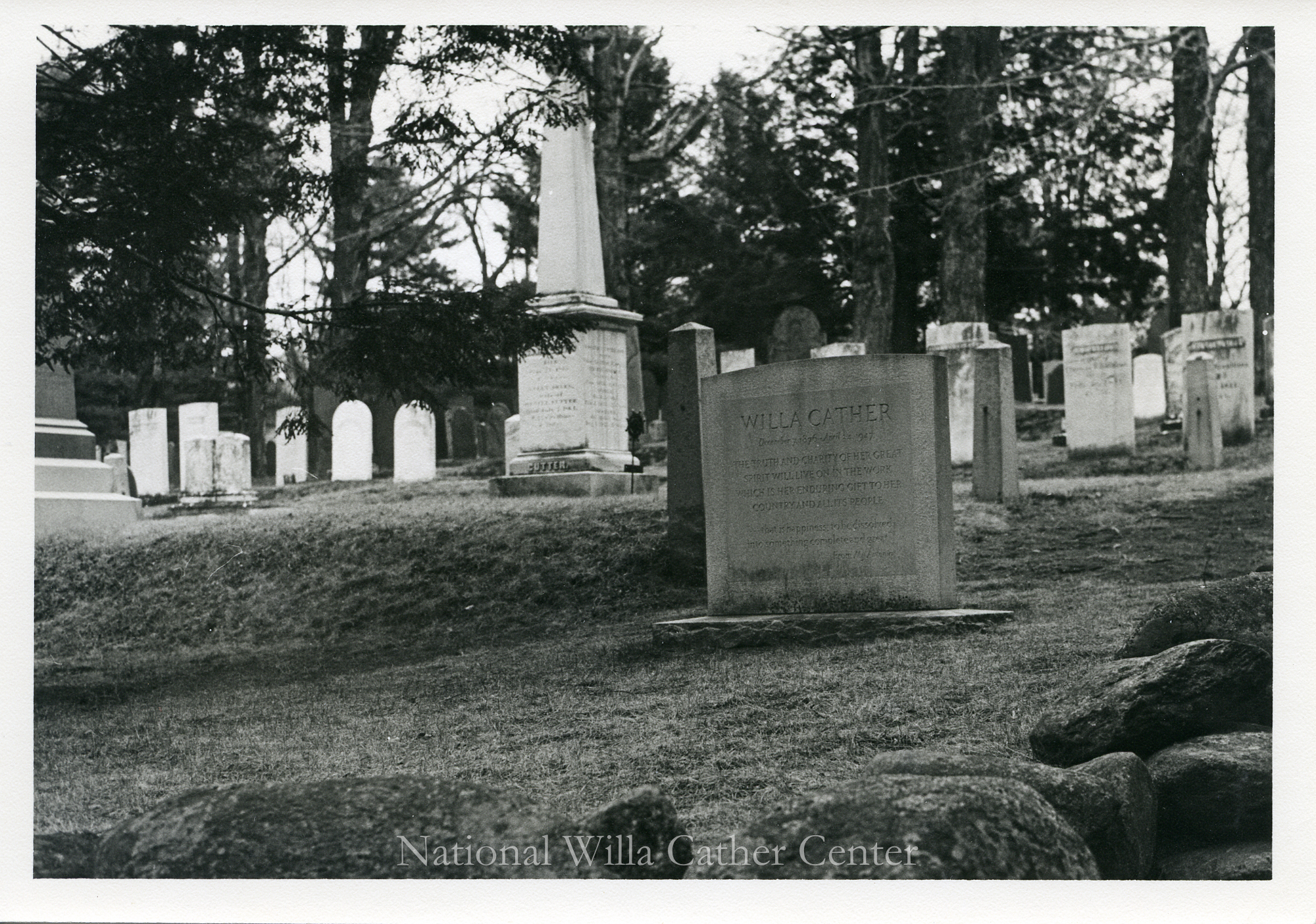 Image description is not available for PHO-4-W689-1585