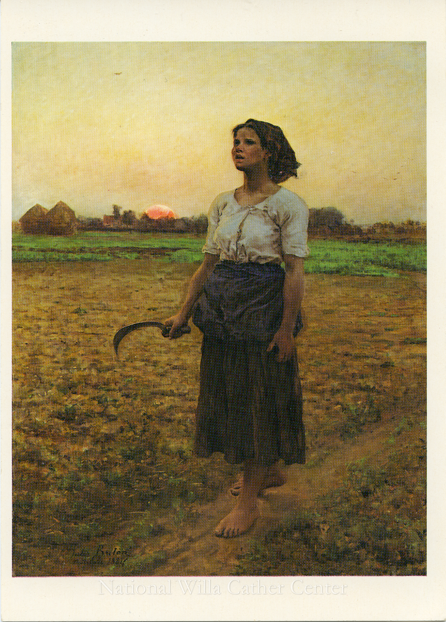 Image description is not available for PHO-4-W689-1670