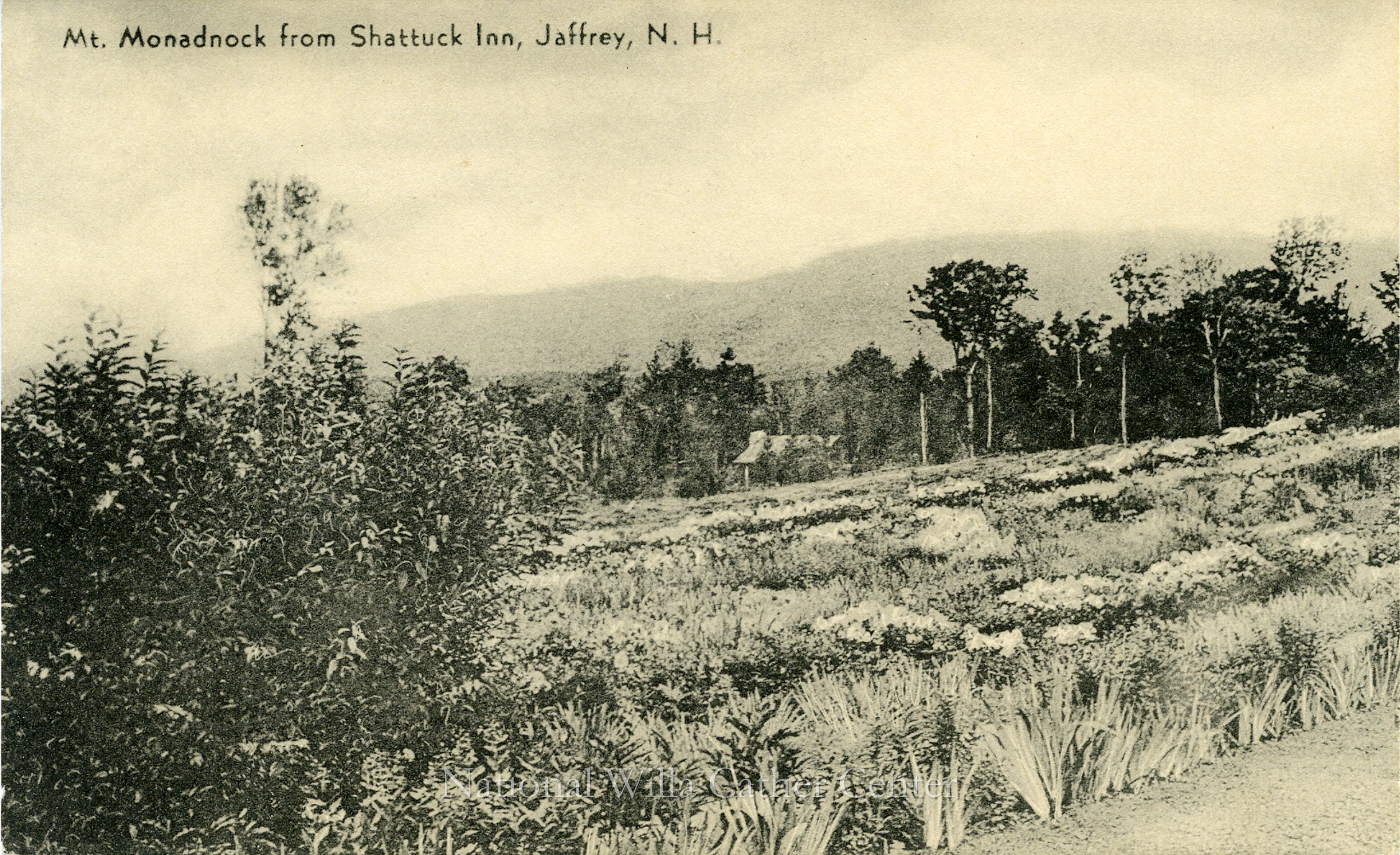 Image description is not available for PHO-4-W689-1731