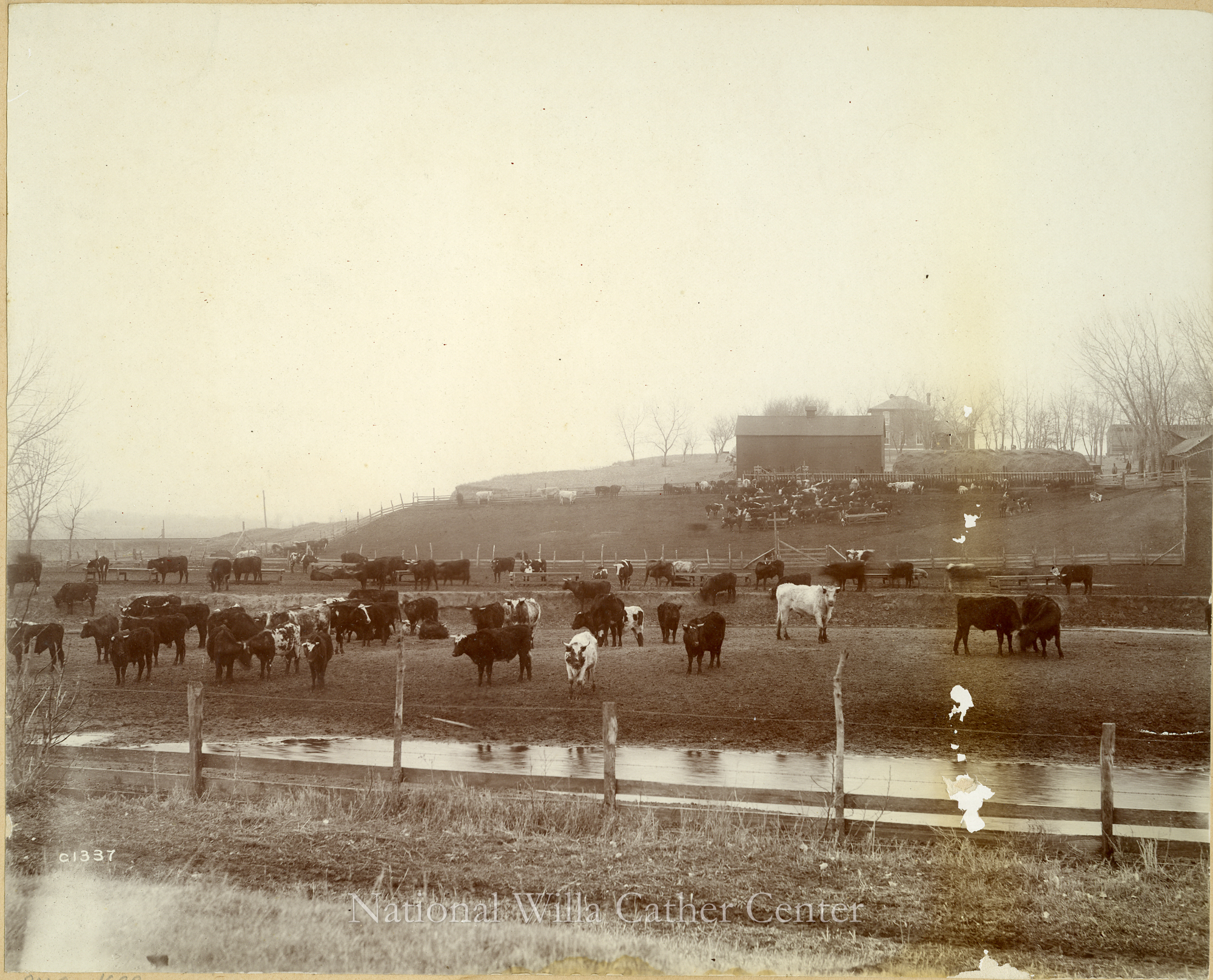 Image description is not available for PHO-4-W689-1770