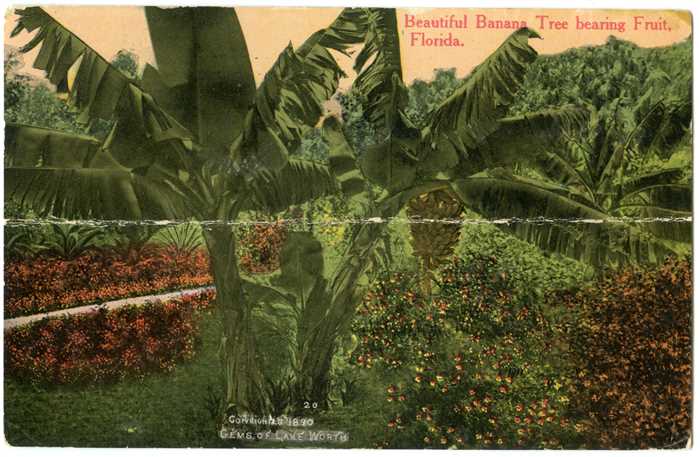 Image description is not available for OBJ-250-391-1021