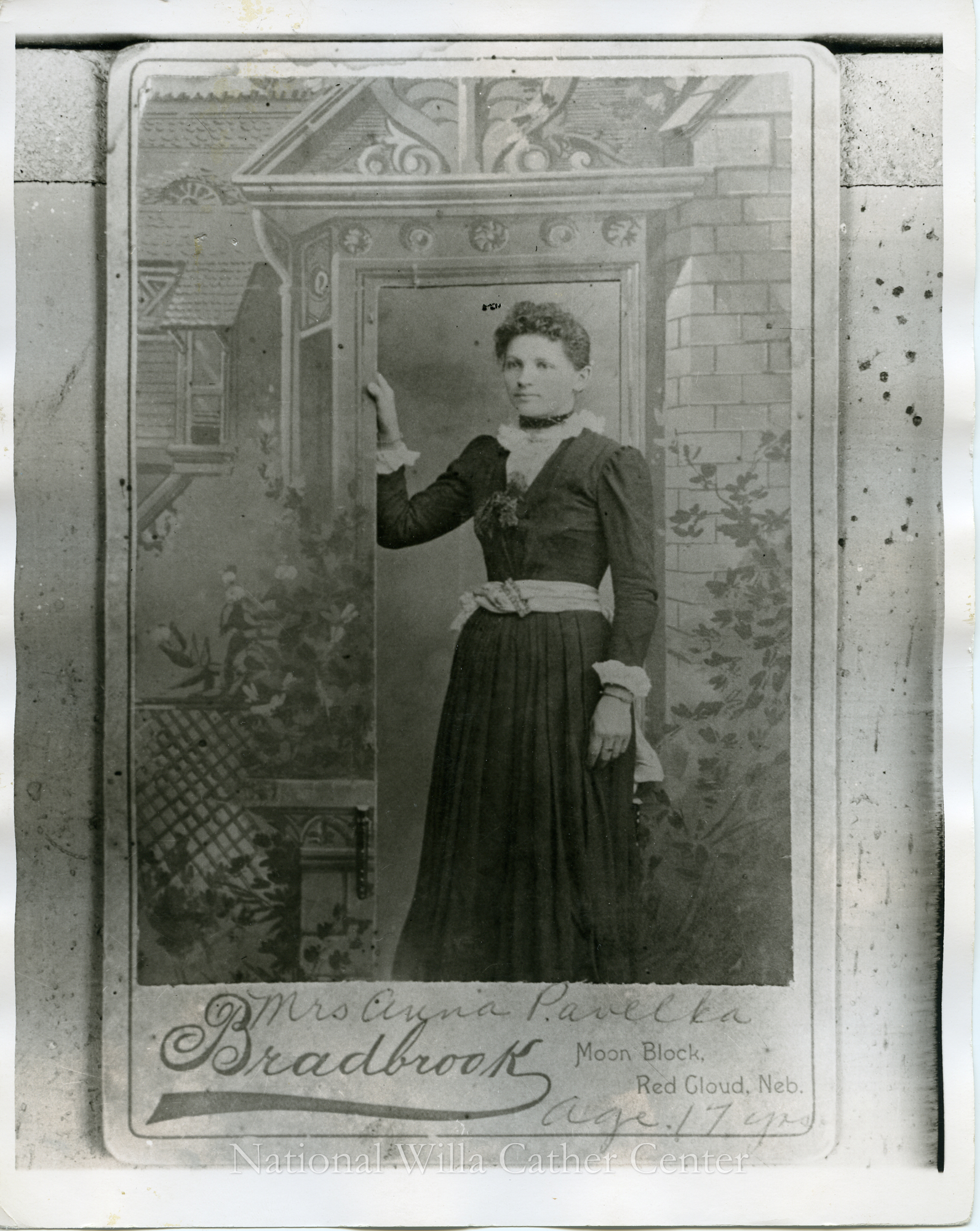 Image description is not available for PHO-4-W689-208