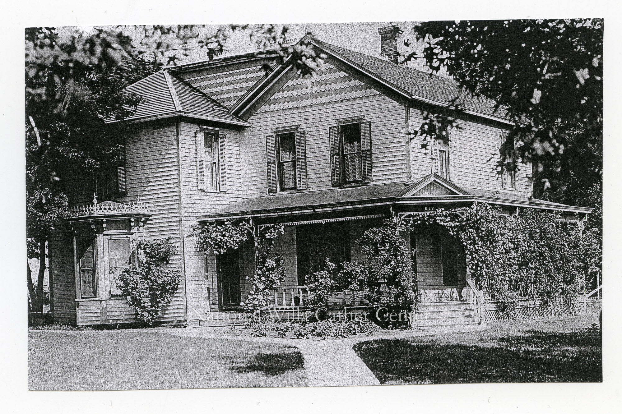 Image description is not available for PHO-264-331