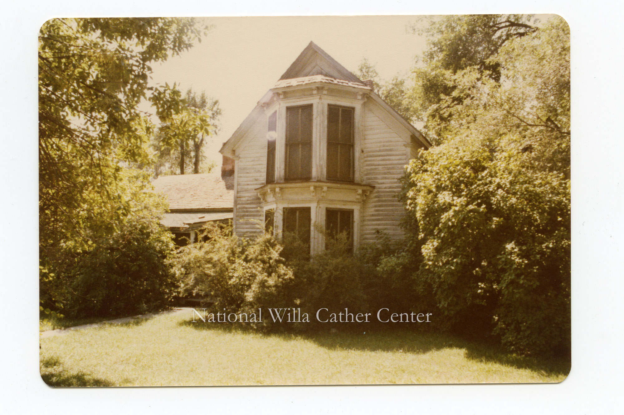 Image description is not available for PHO-264-335