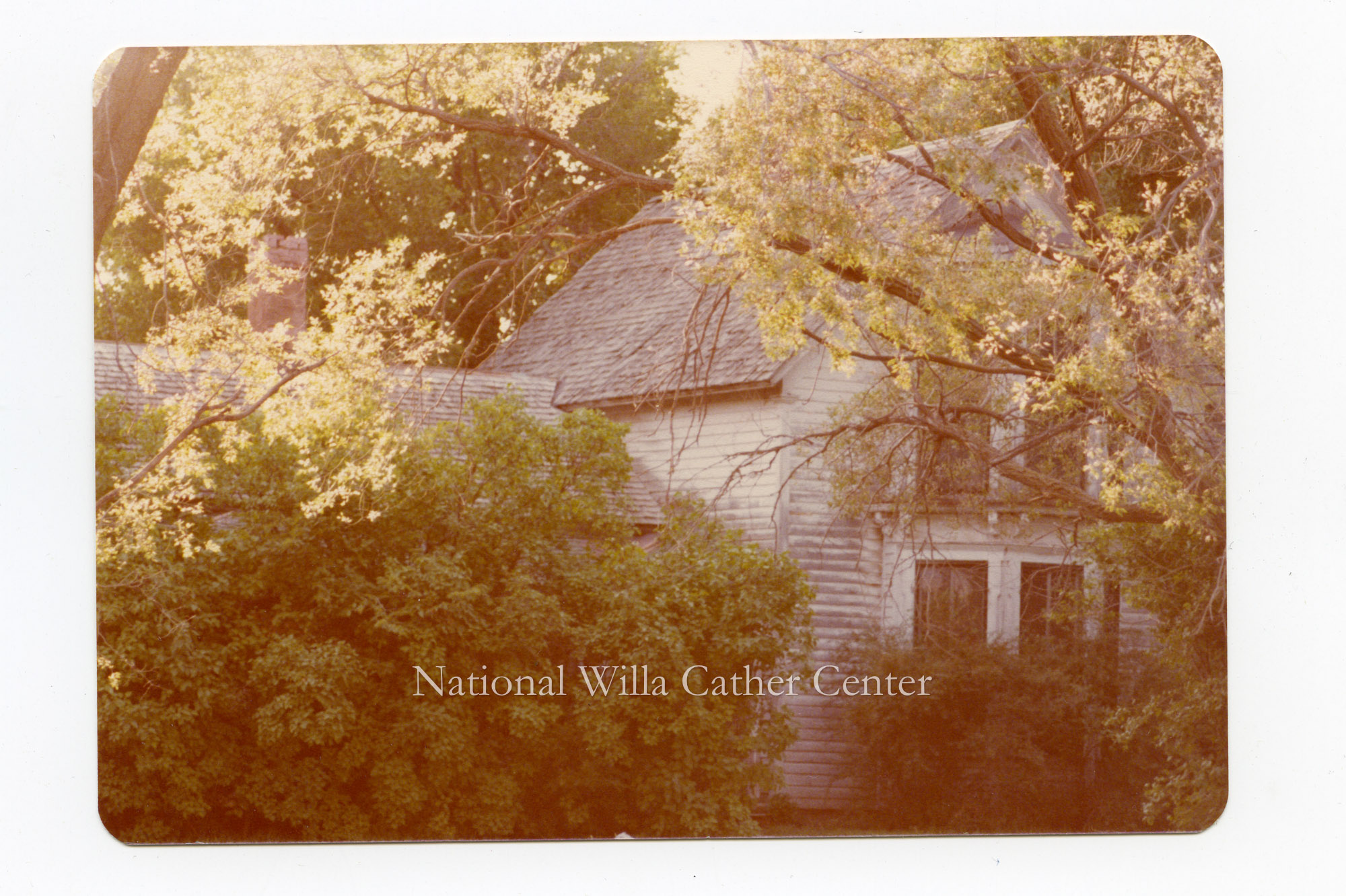 Image description is not available for PHO-264-337