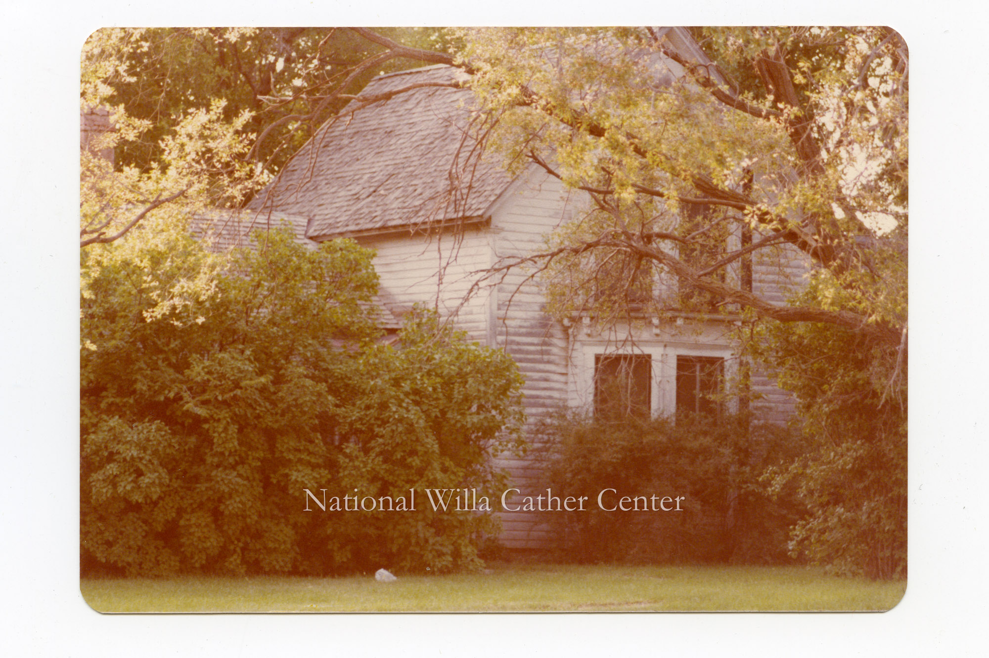 Image description is not available for PHO-264-338