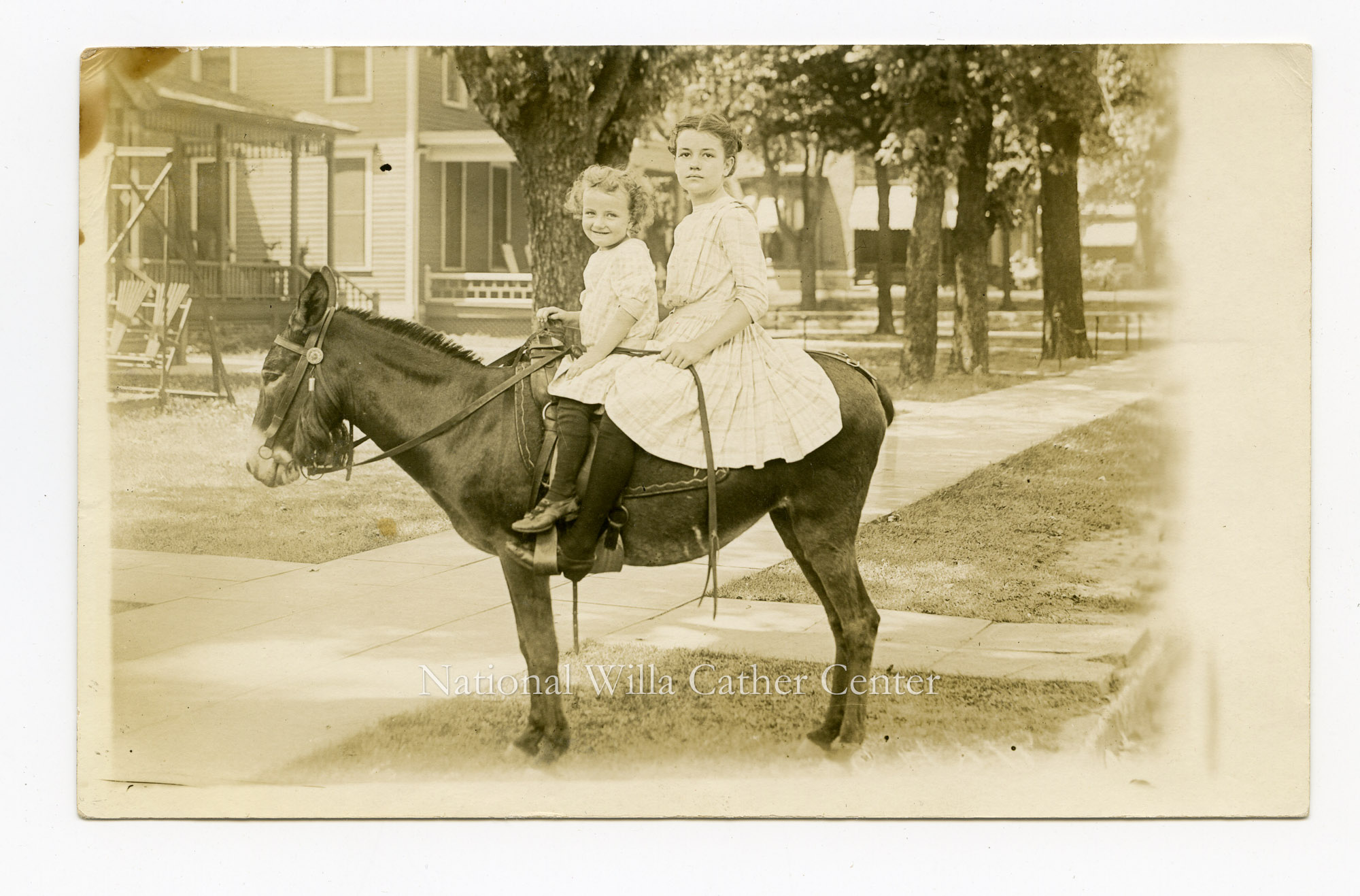 Image description is not available for PHO-264-377