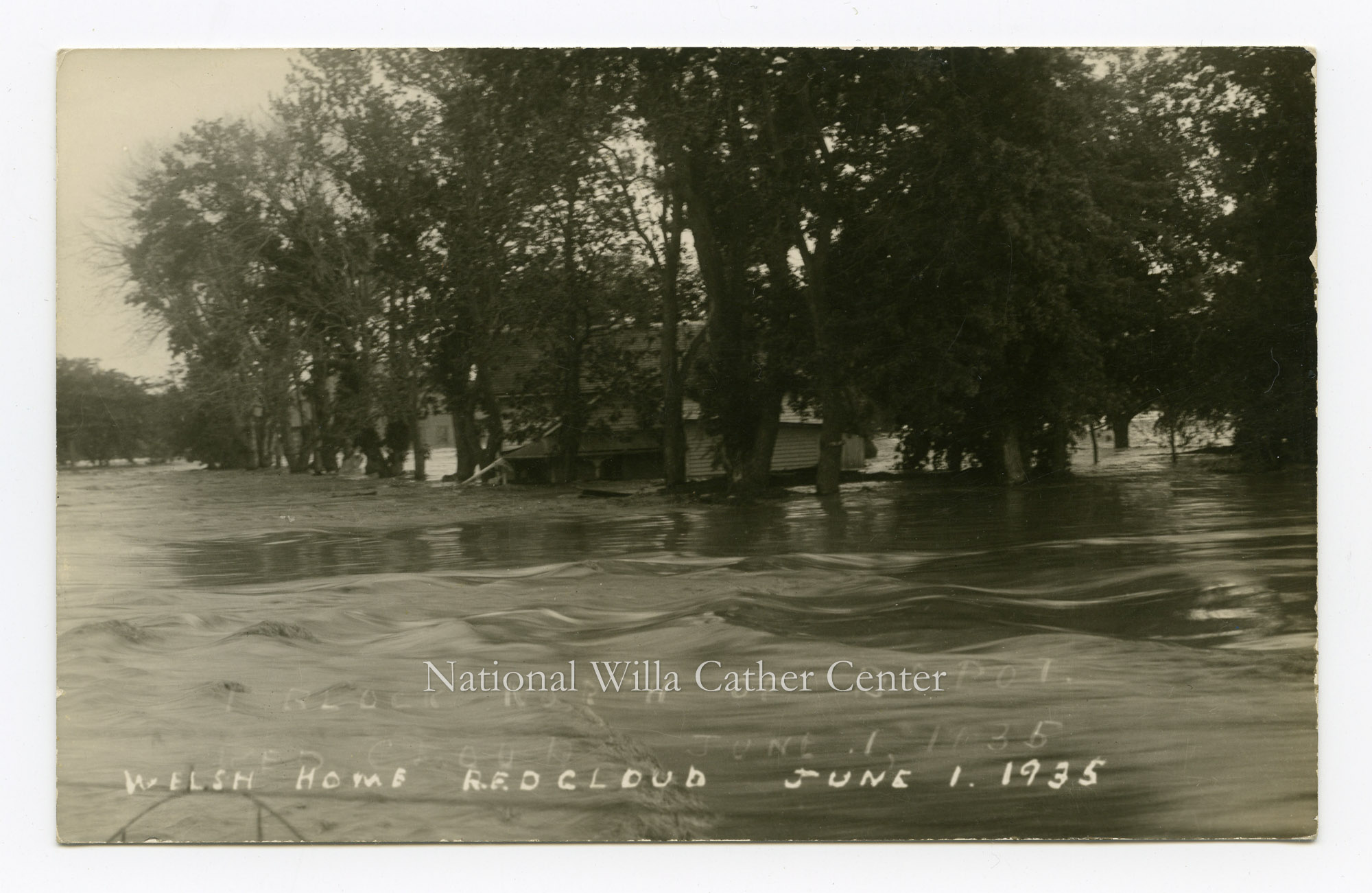 Image description is not available for PHO-264-404