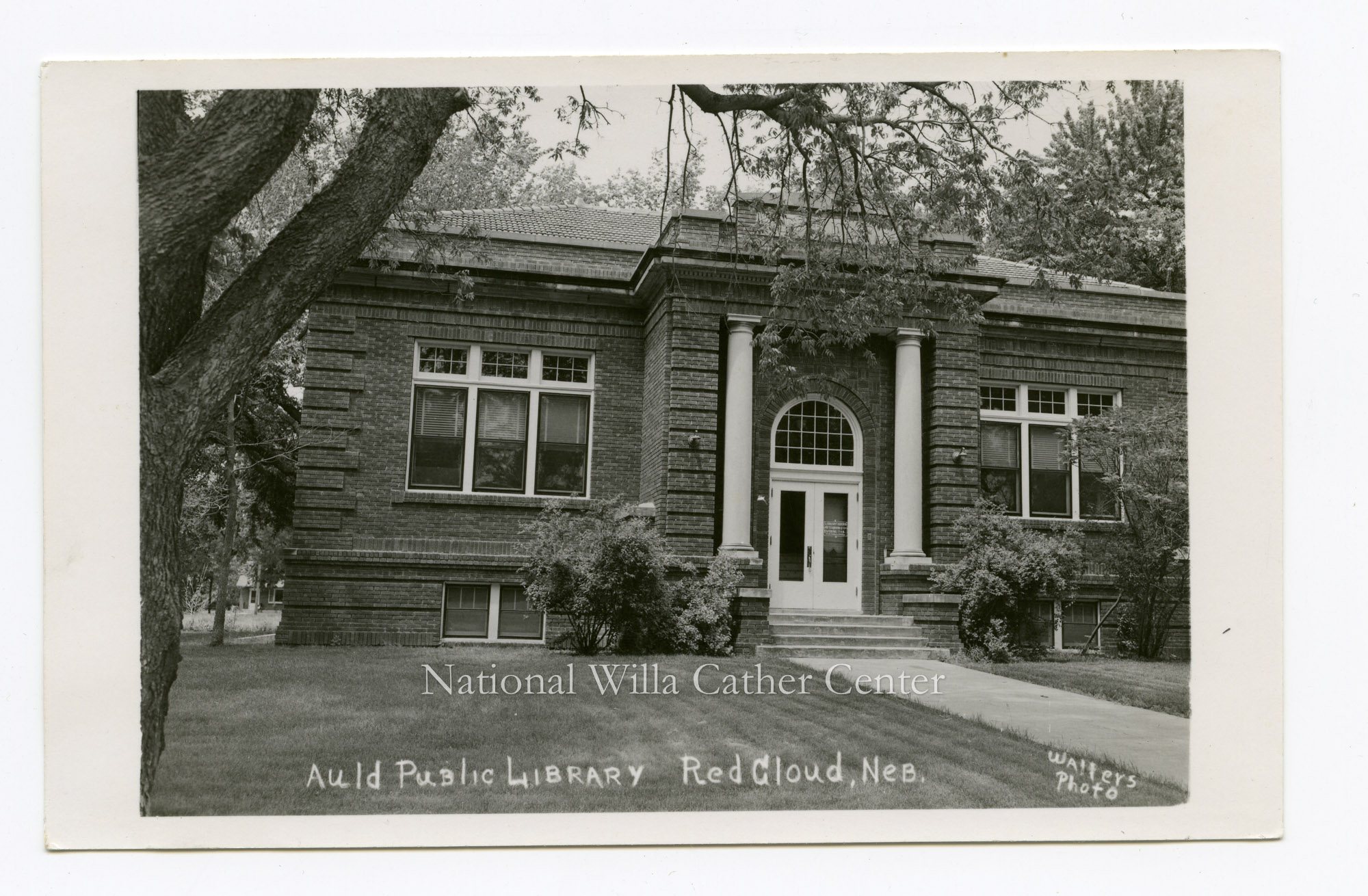 Image description is not available for PHO-264-454