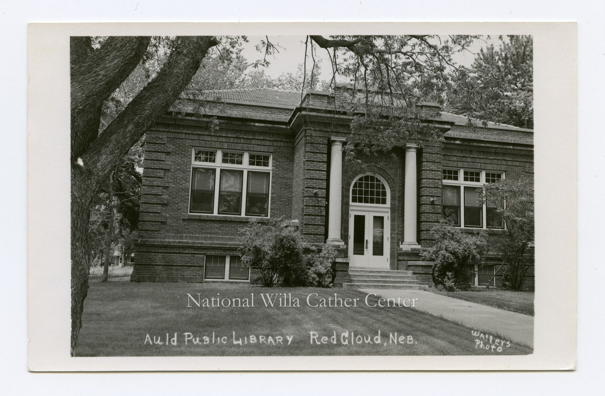 Image description is not available for PHO-264-455