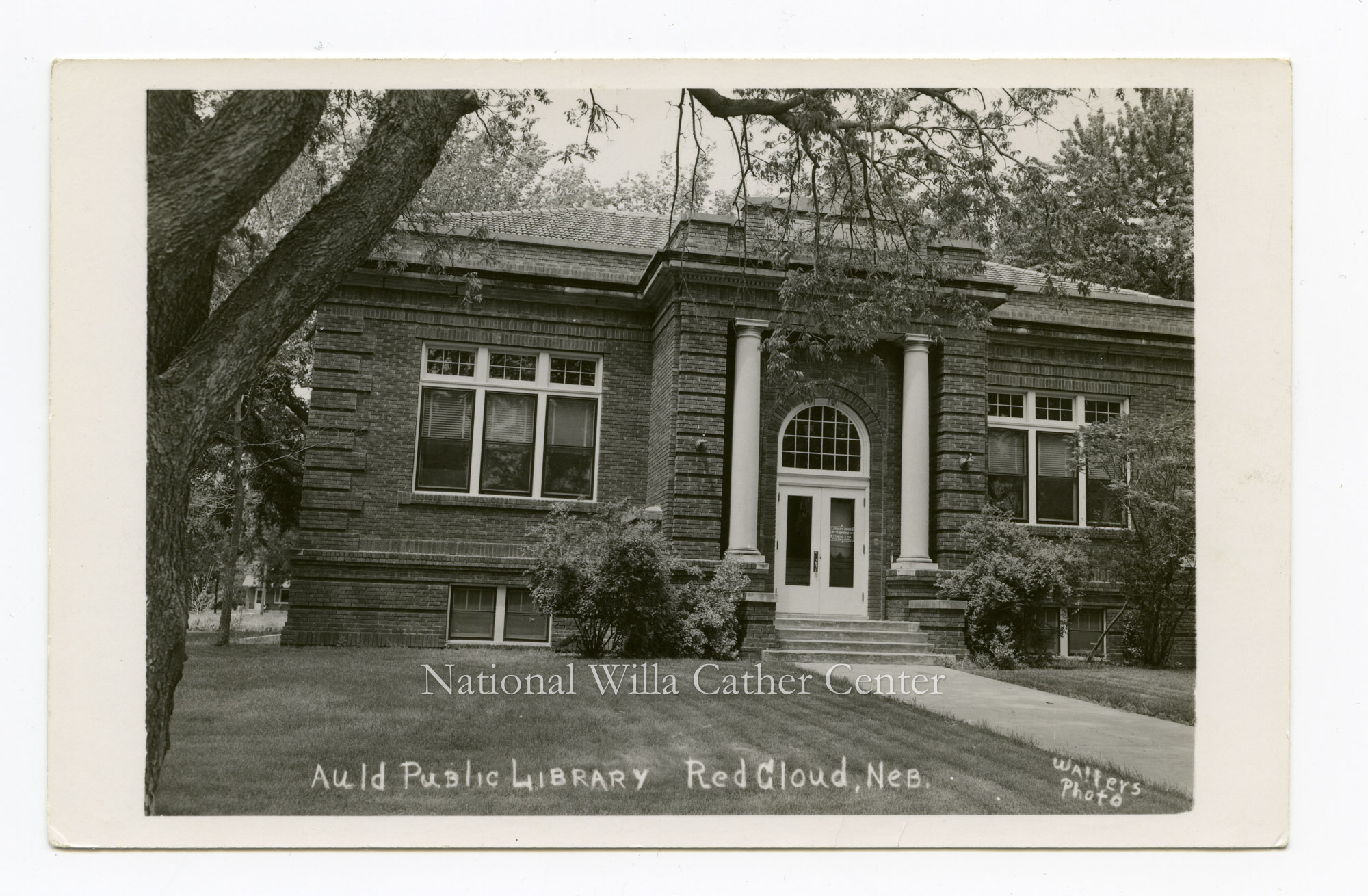 Image description is not available for PHO-264-458