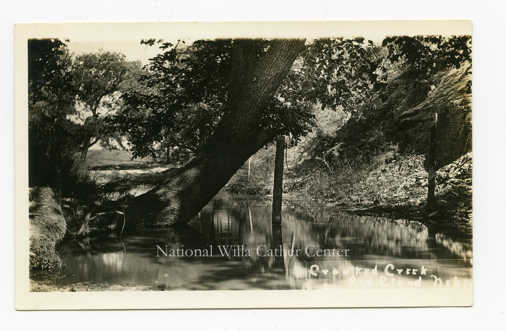 Image description is not available for PHO-264-535