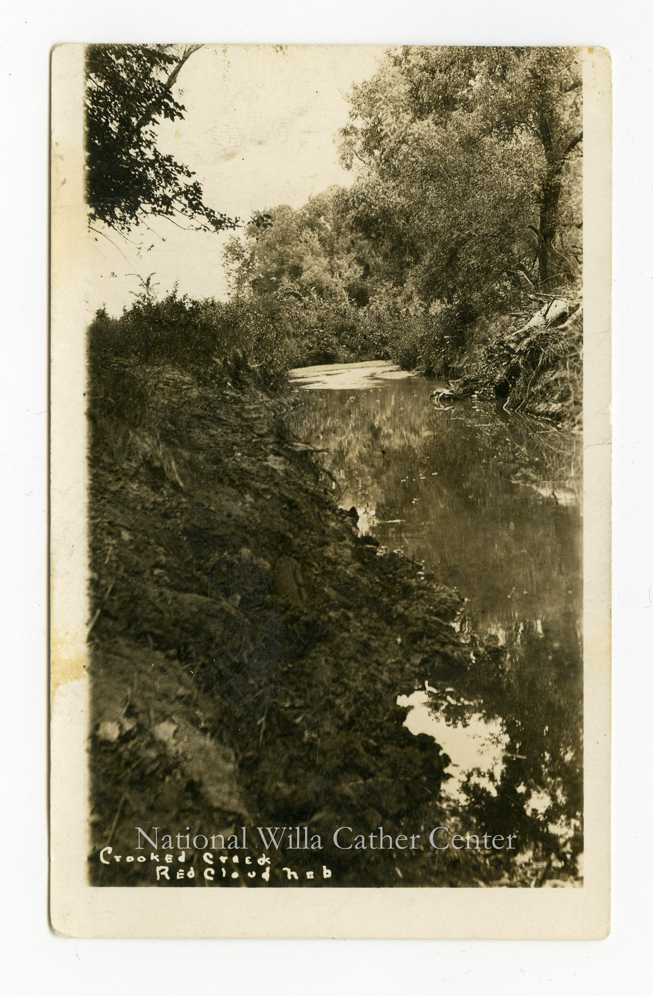 Image description is not available for PHO-264-539