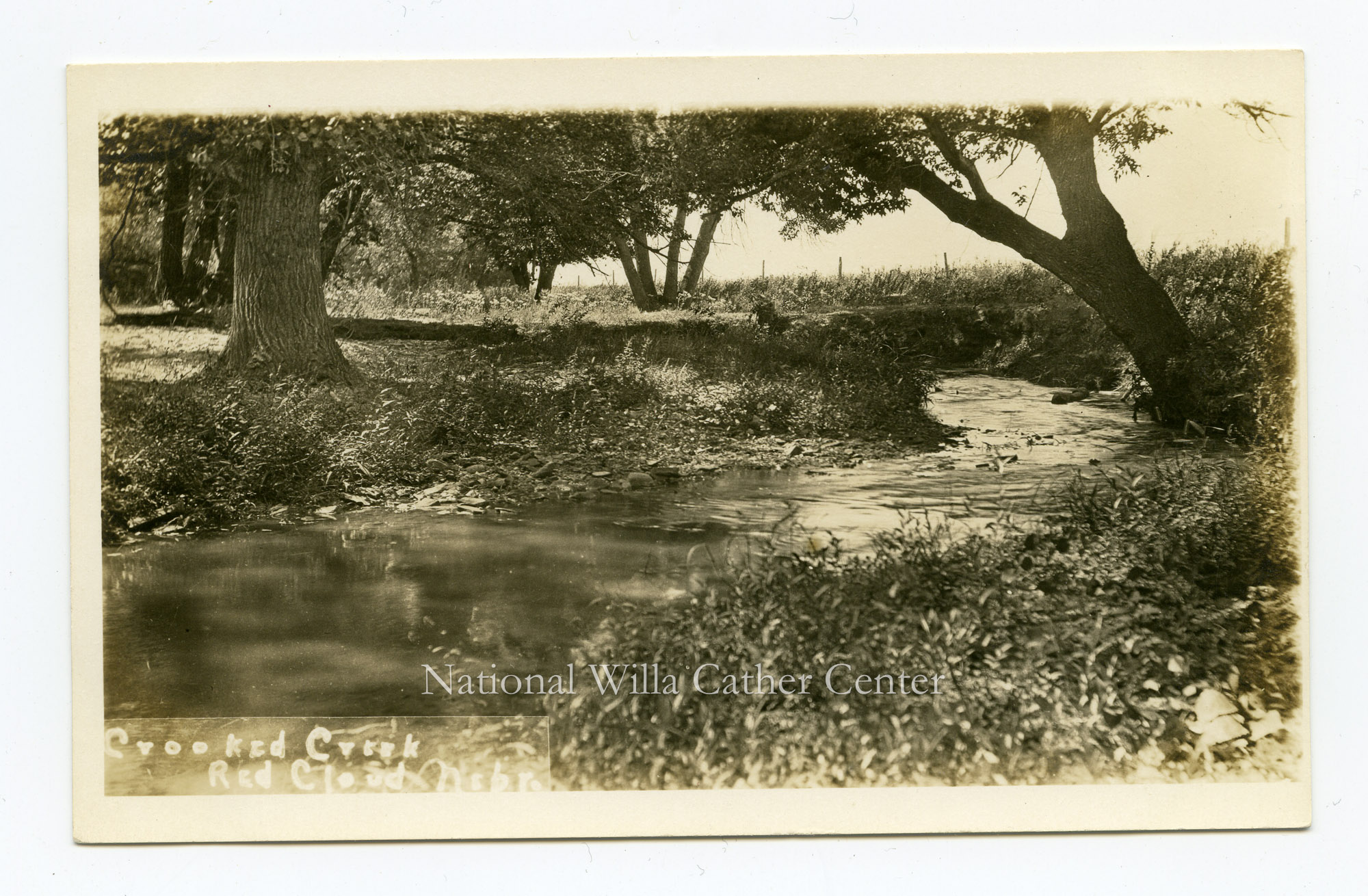 Image description is not available for PHO-264-540