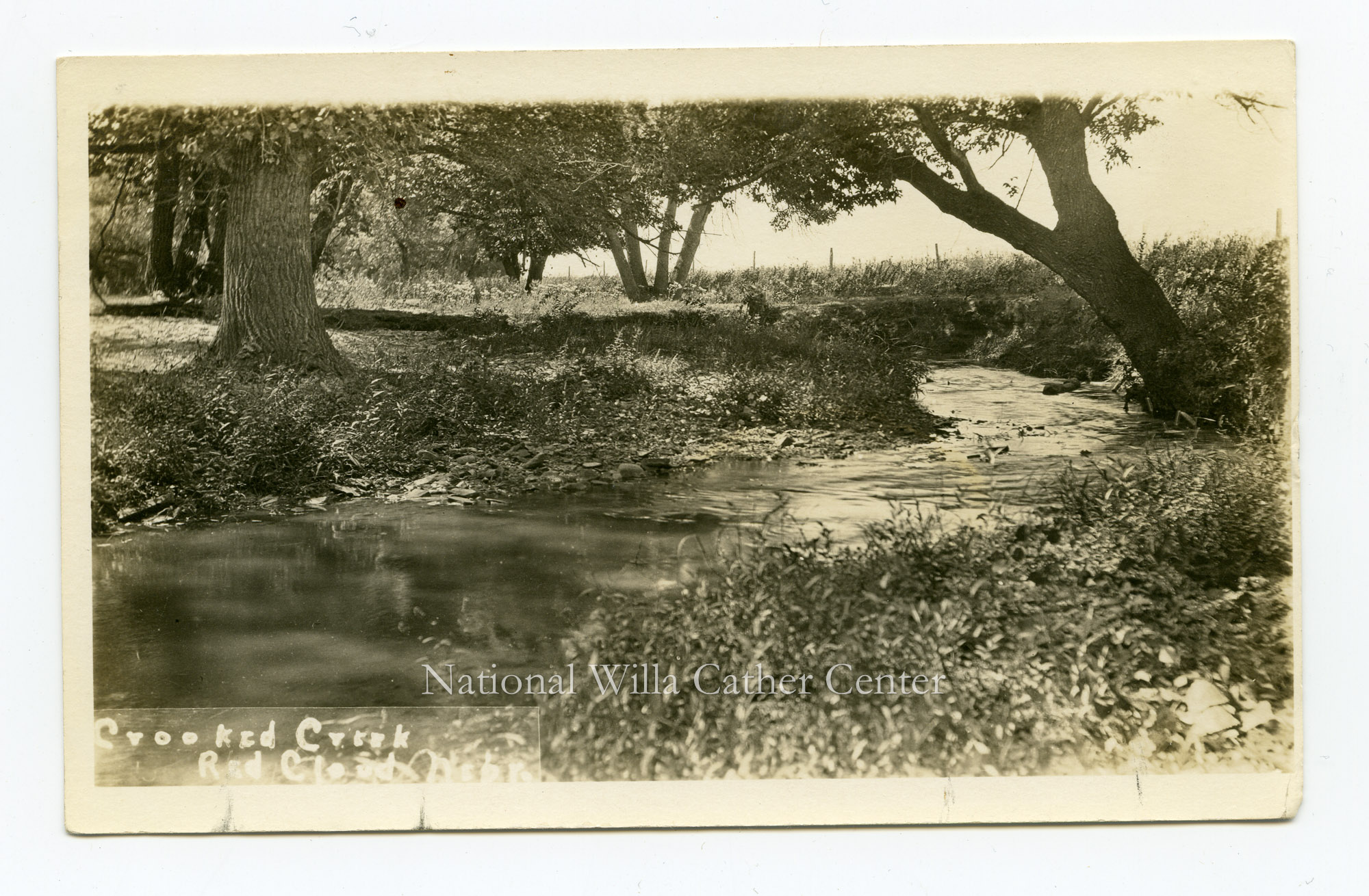 Image description is not available for PHO-264-541