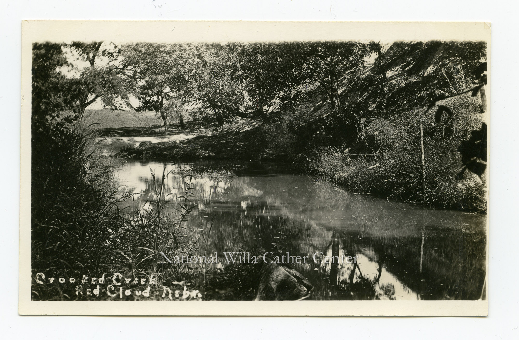 Image description is not available for PHO-264-542