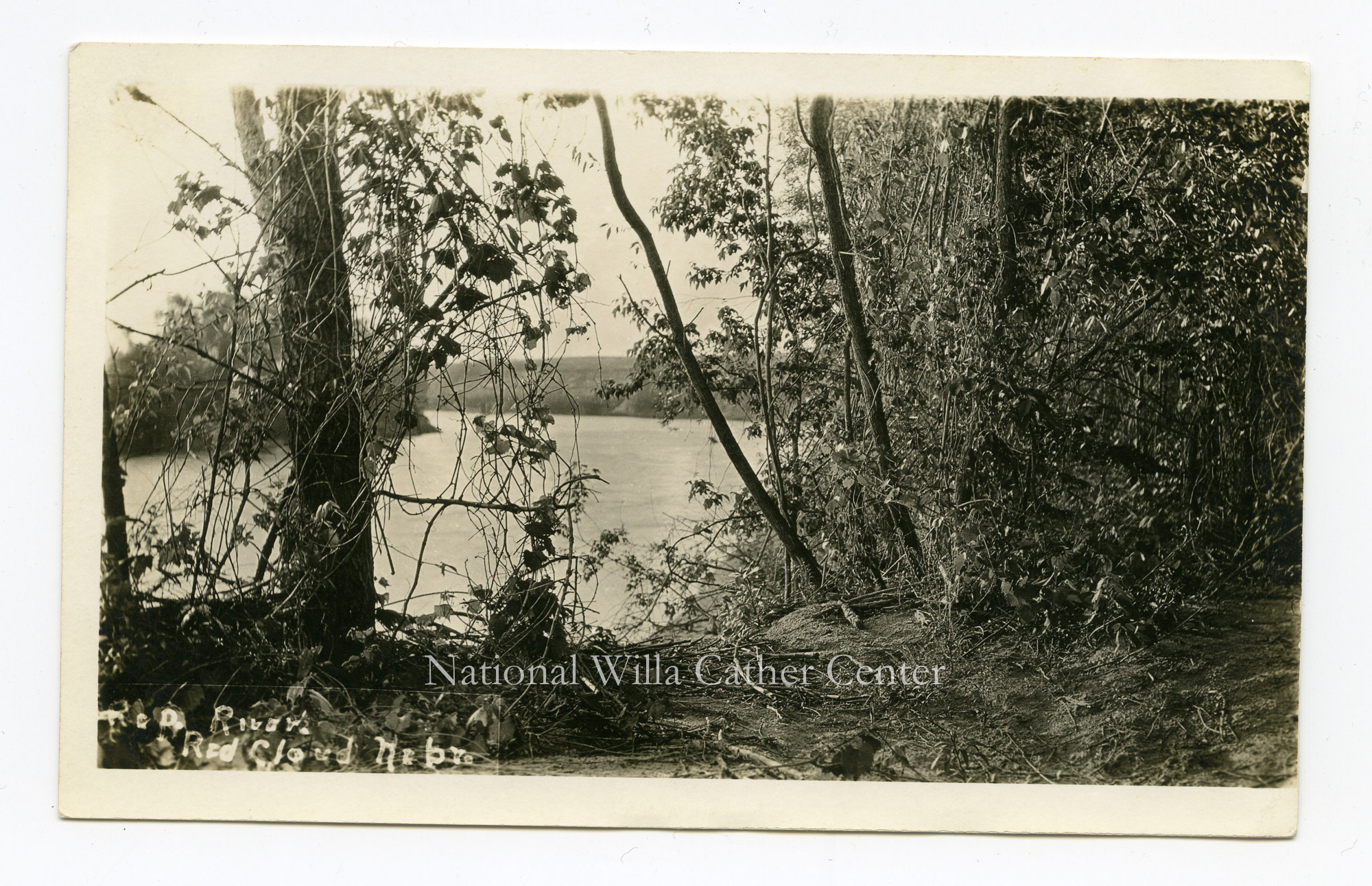 Image description is not available for PHO-264-602