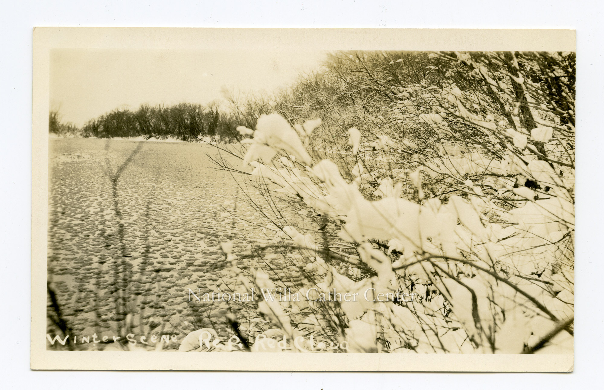 Image description is not available for PHO-264-616