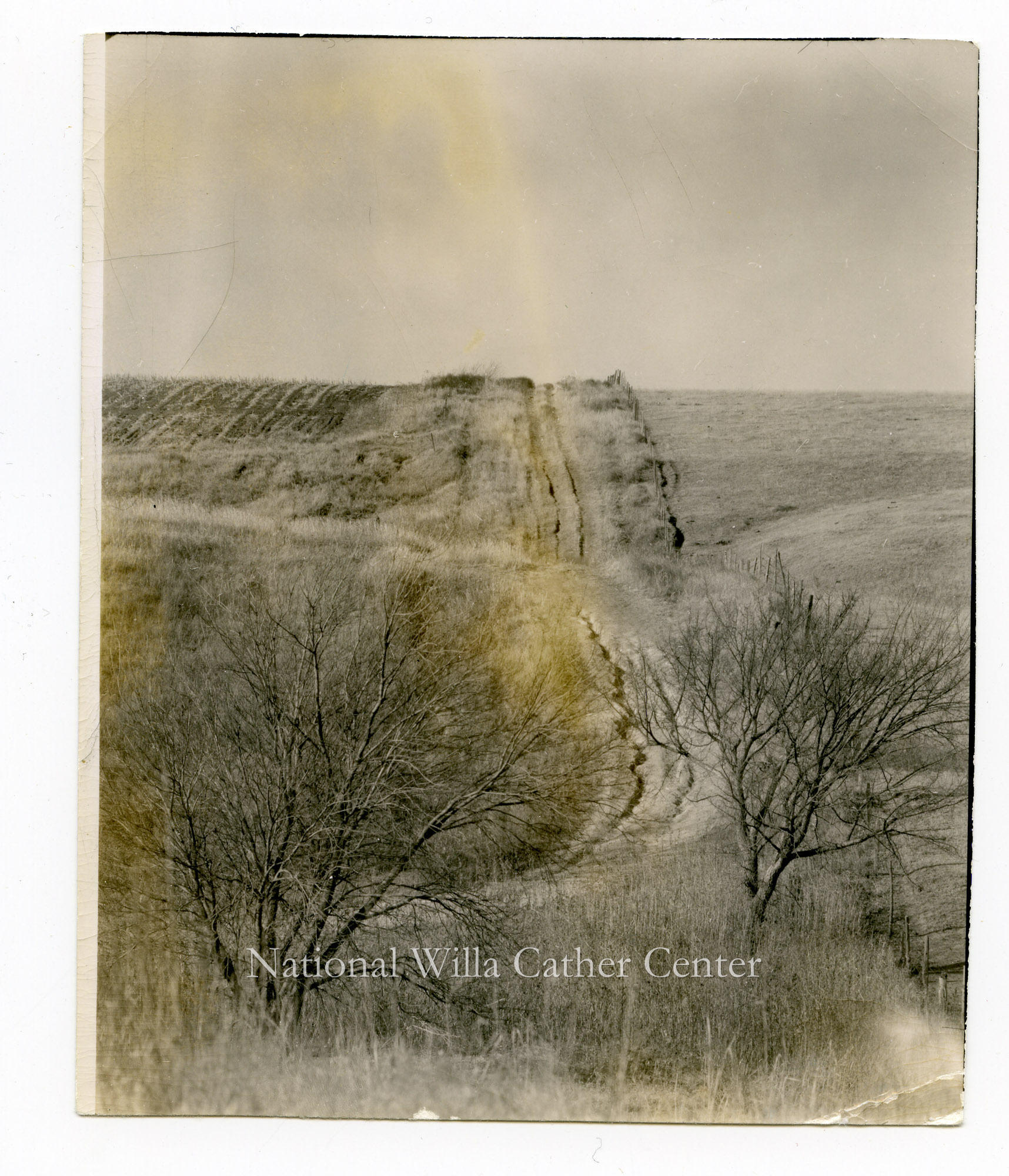 Image description is not available for PHO-264-624