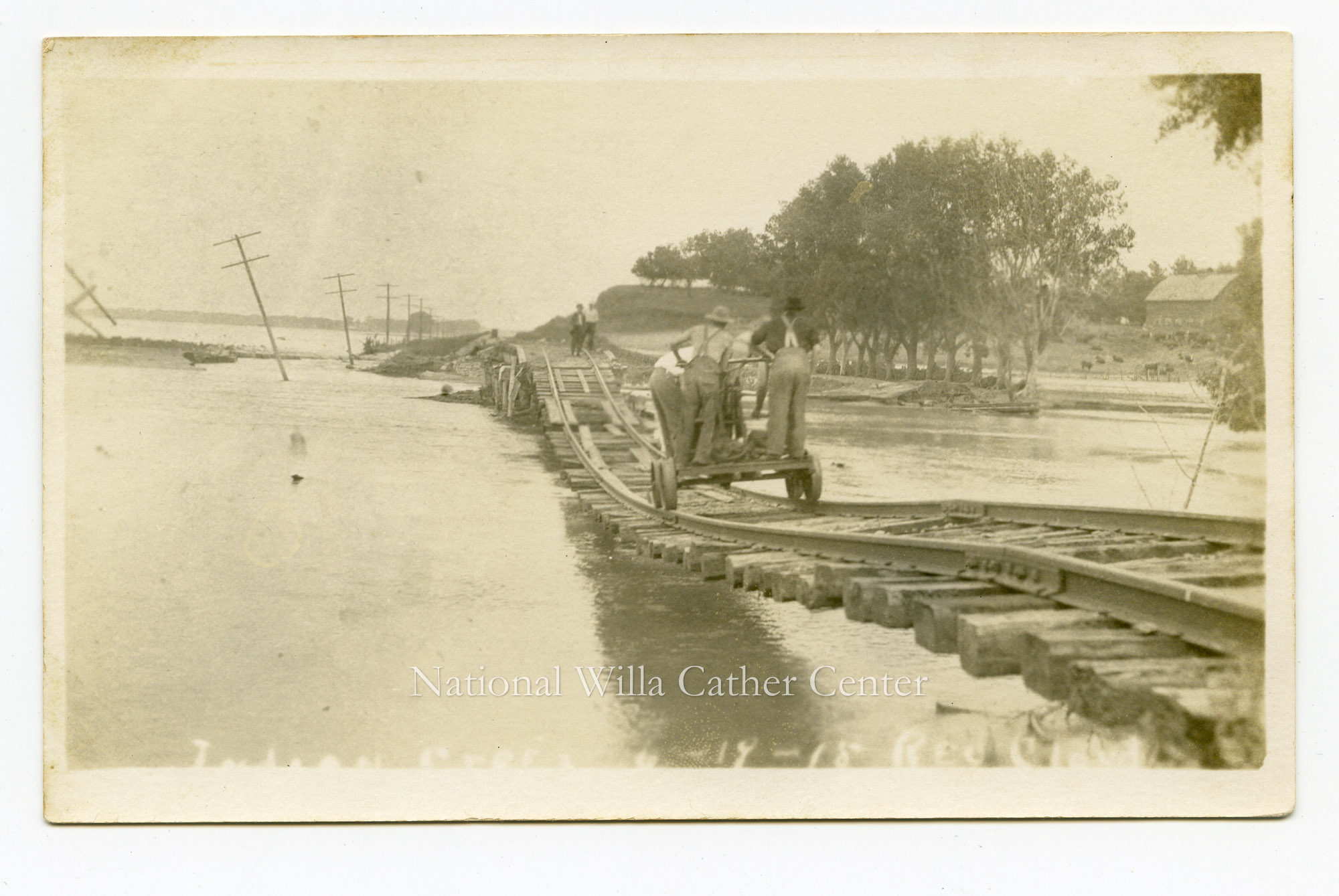 Image description is not available for PHO-264-626