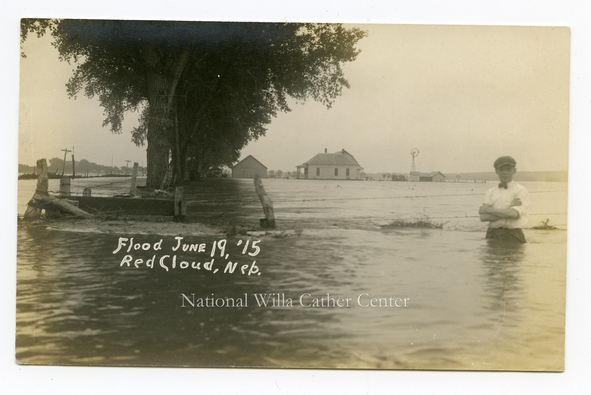 Image description is not available for PHO-264-627