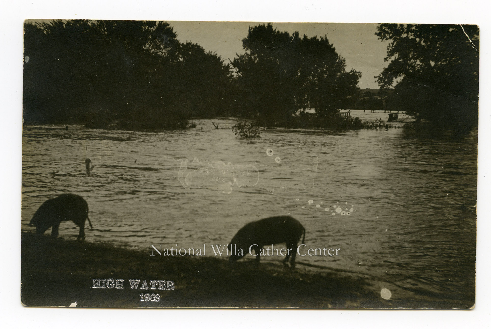 Image description is not available for PHO-264-629