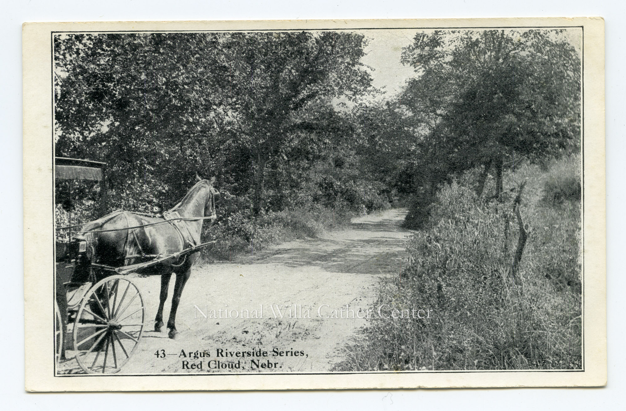 Image description is not available for PHO-264-632