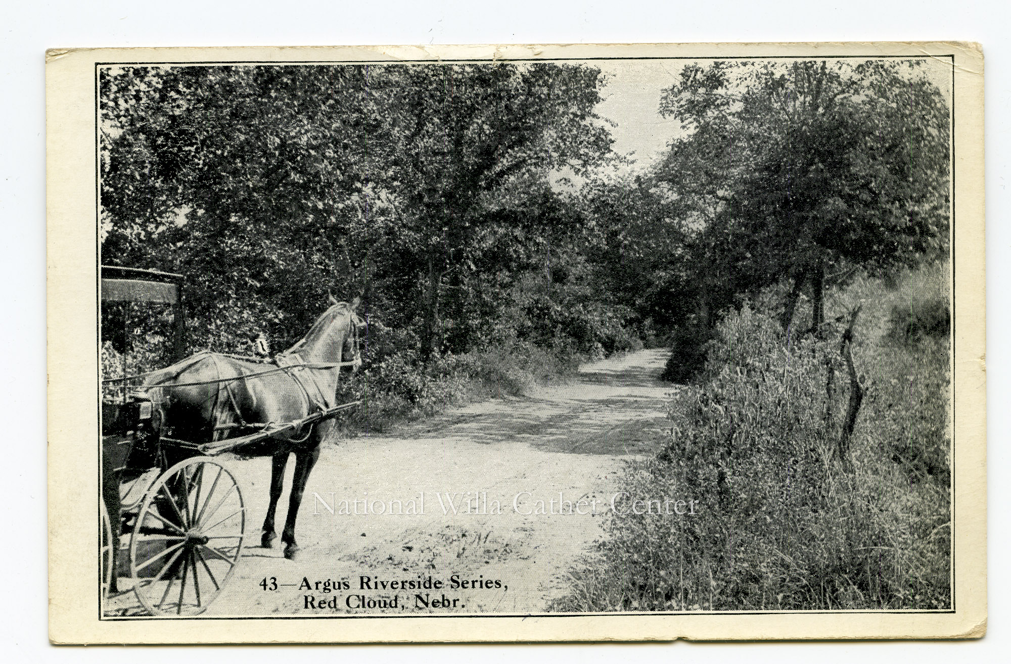 Image description is not available for PHO-264-634